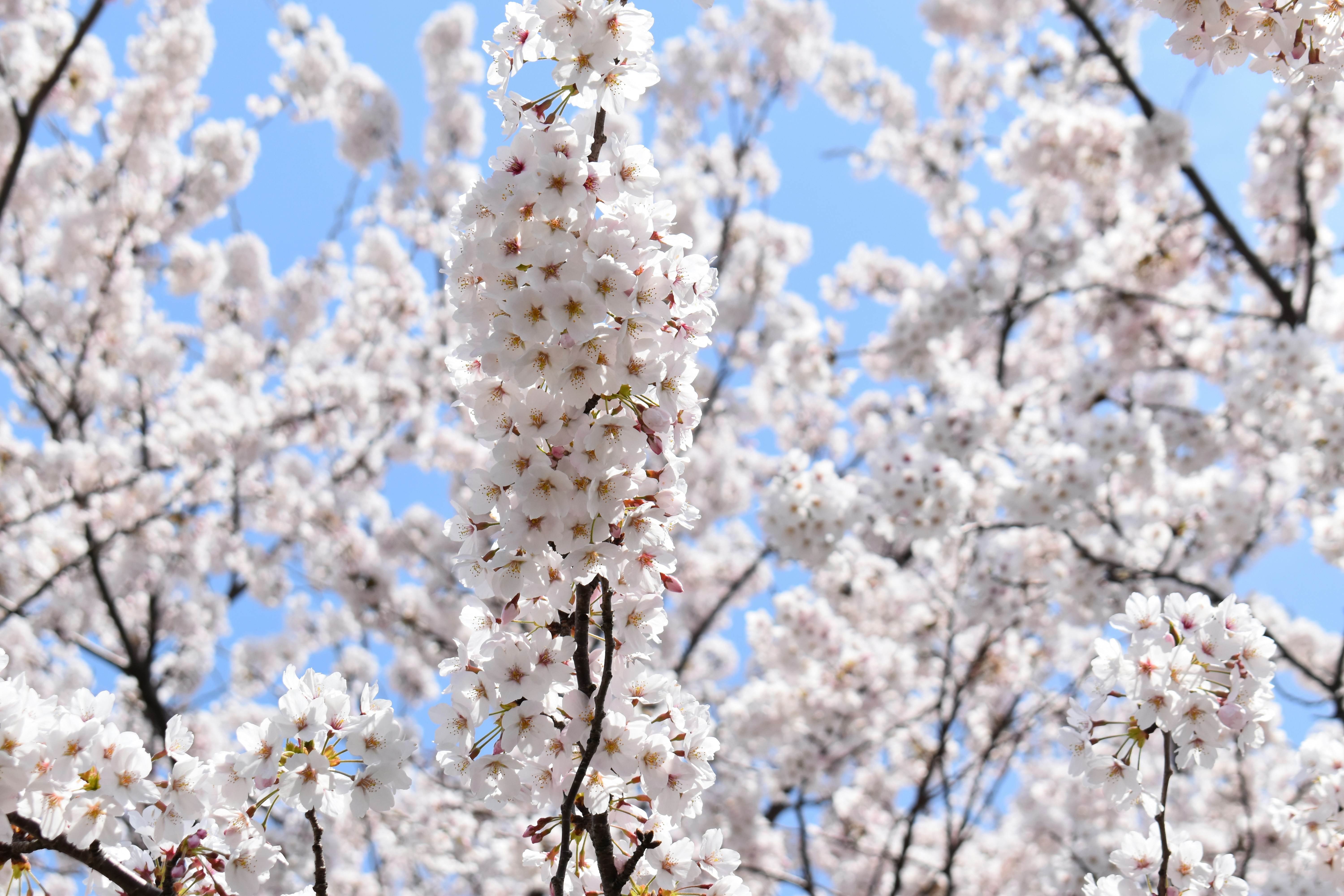 Photo by annnnnnnna8