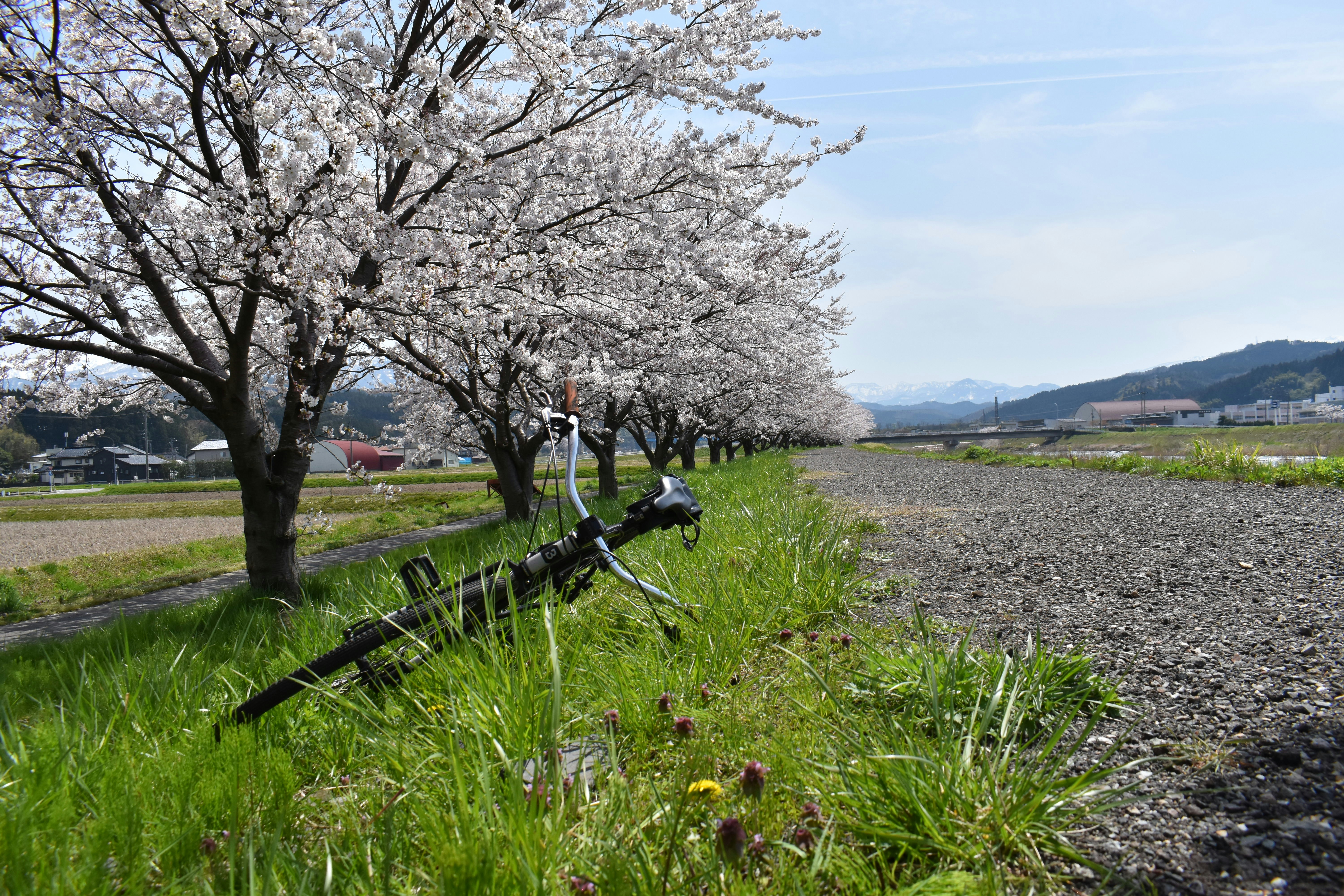 Photo by annnnnnnna8