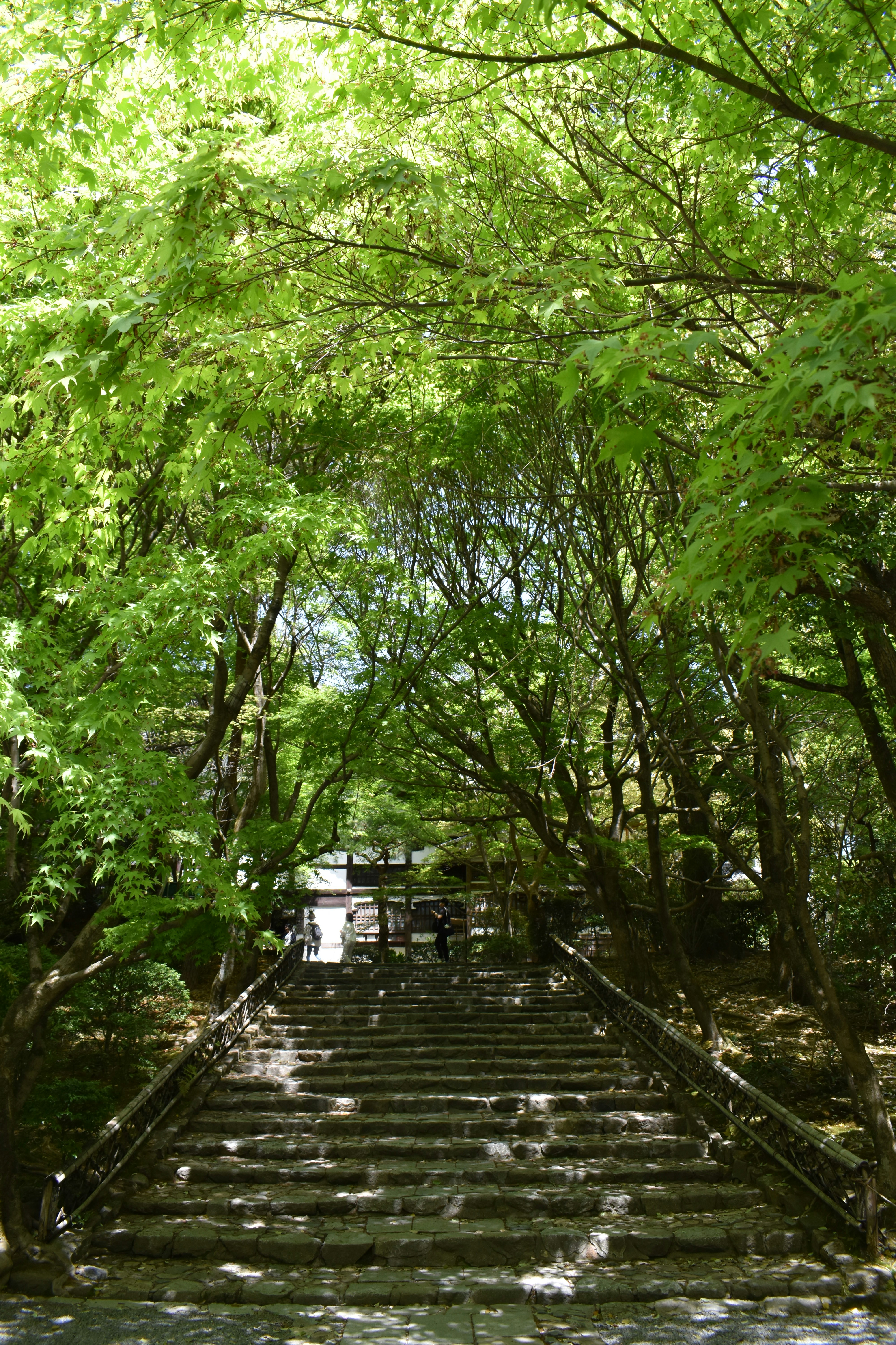 Photo by annnnnnnna8