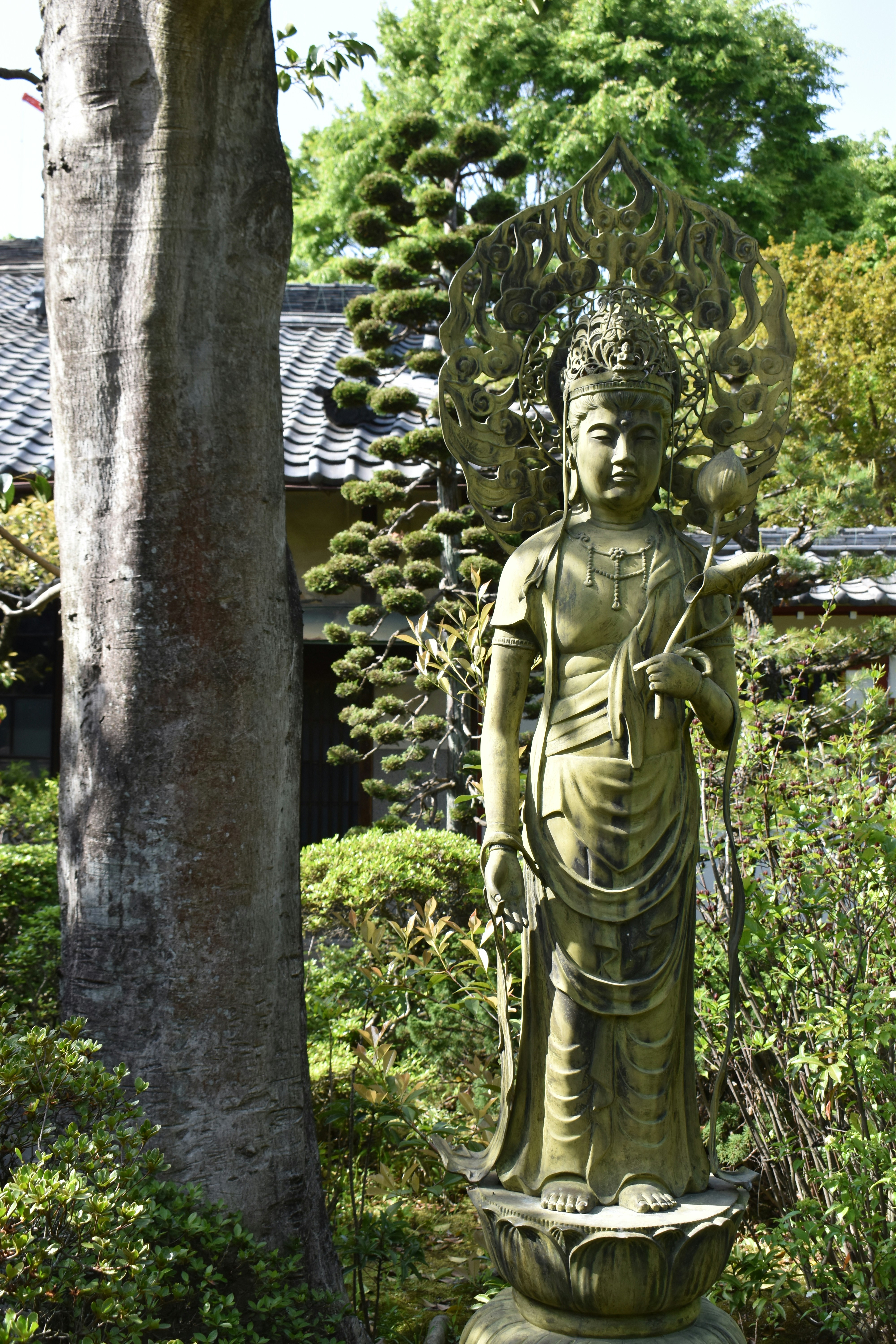 Photo by annnnnnnna8