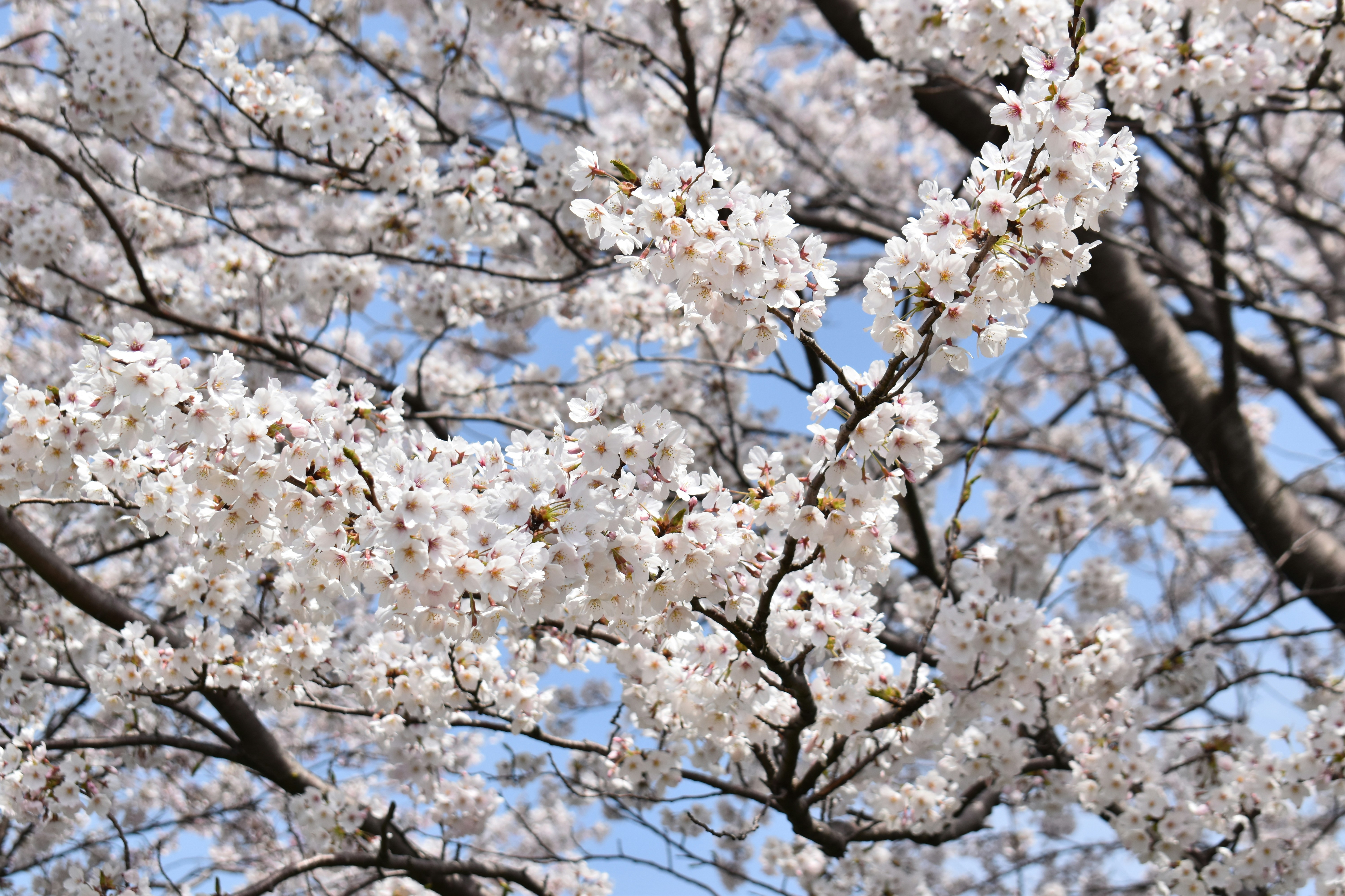 Photo by annnnnnnna8