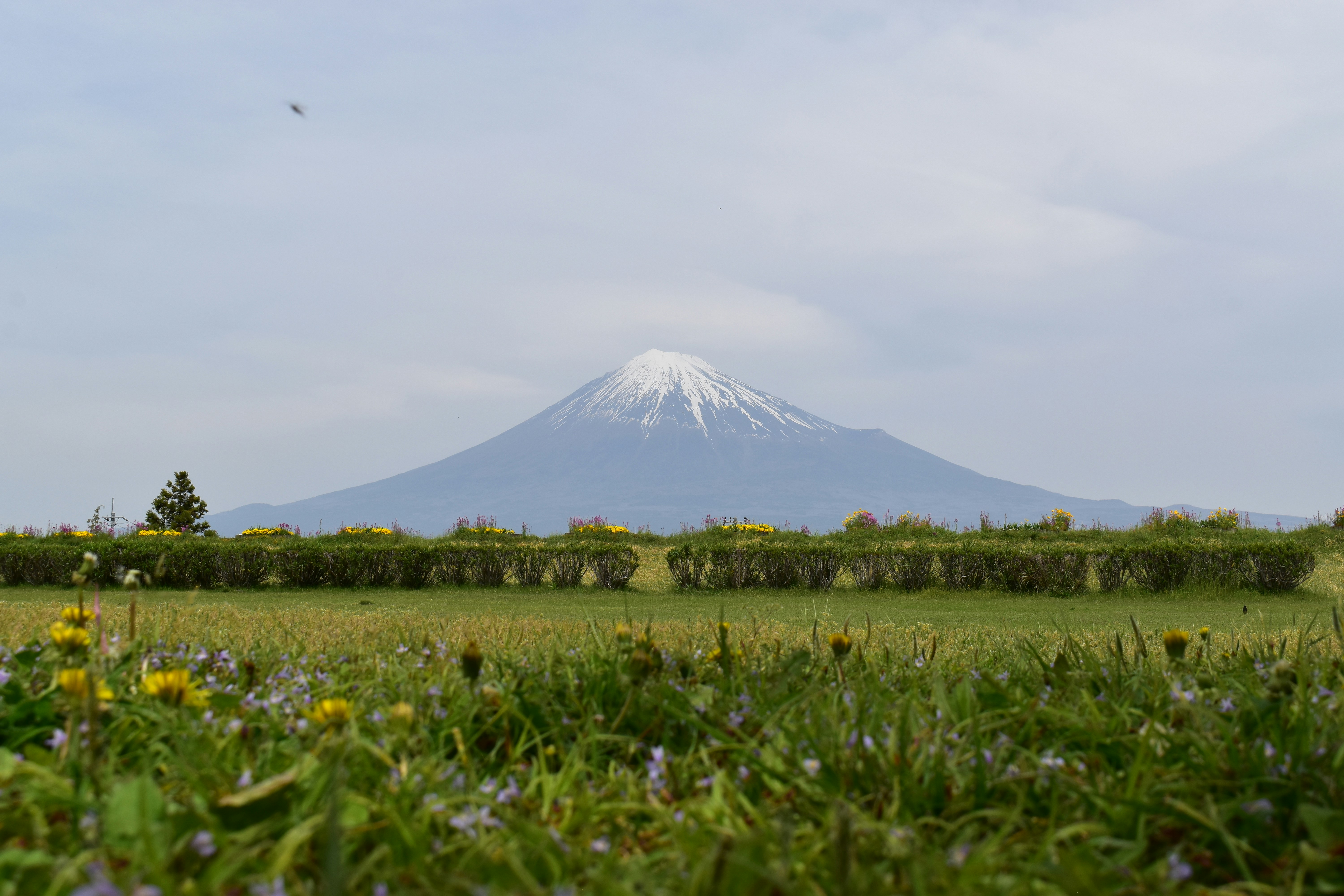 Photo by annnnnnnna8