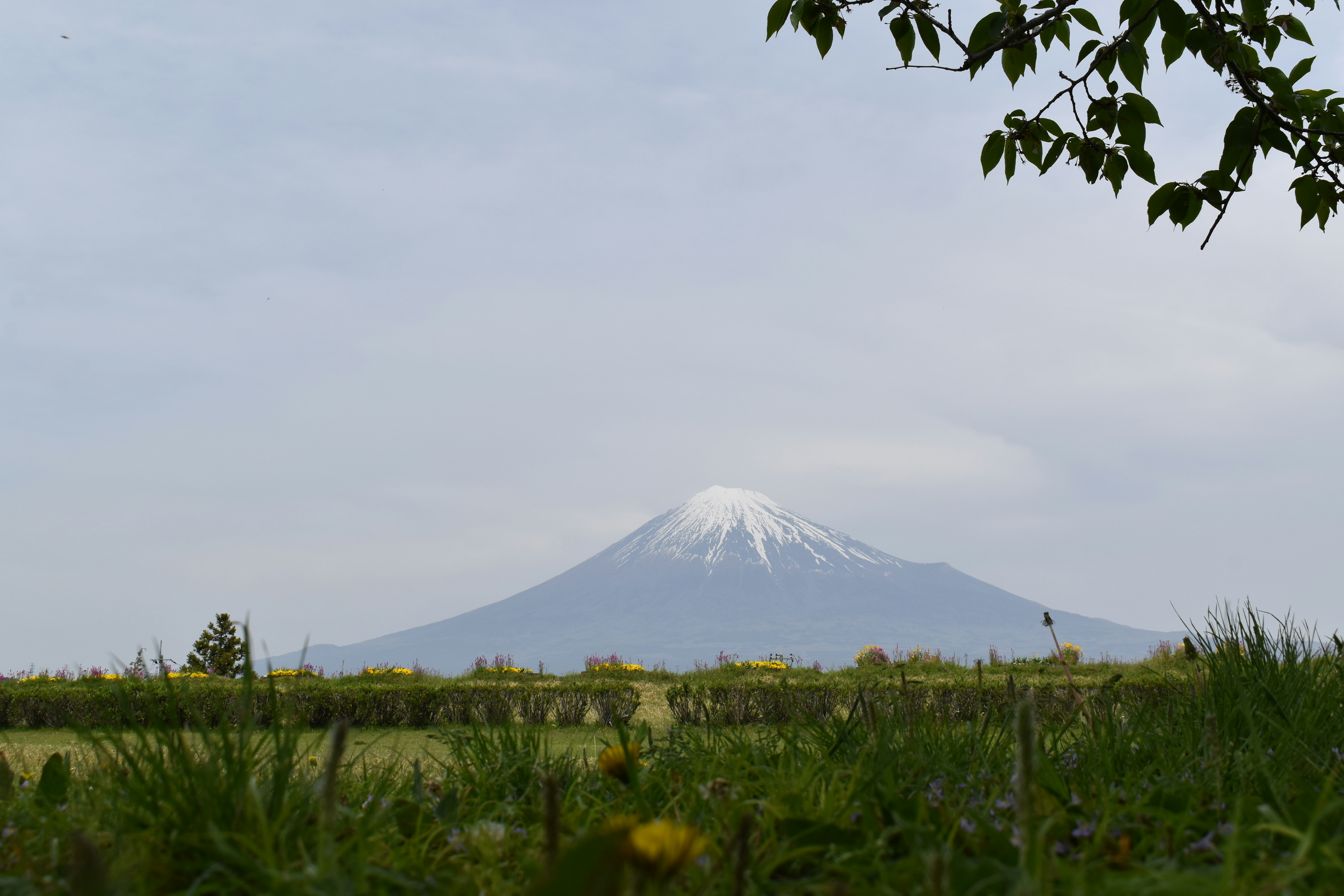 Photo by annnnnnnna8