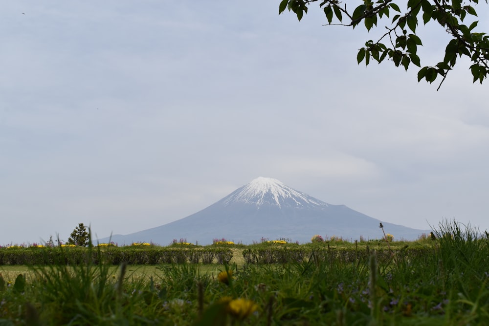 a mountain with a snow capped peak in the distance