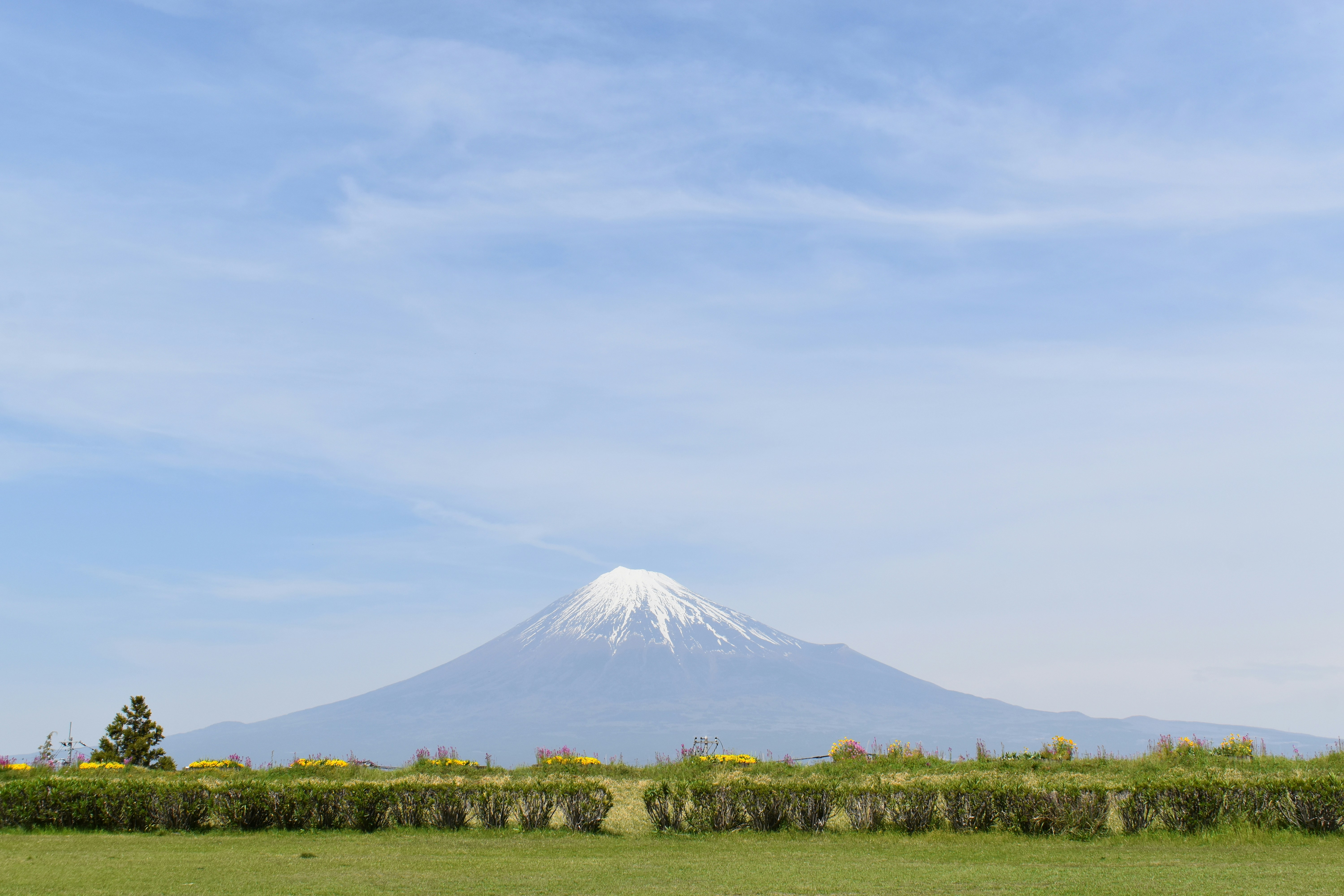 Photo by annnnnnnna8