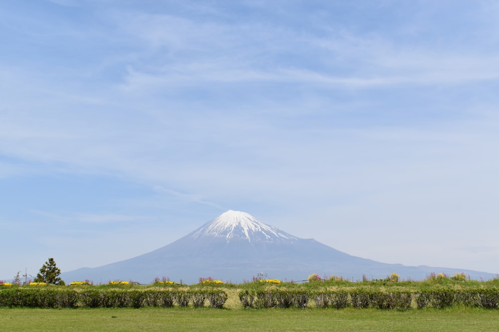 a field with a mountain in the background