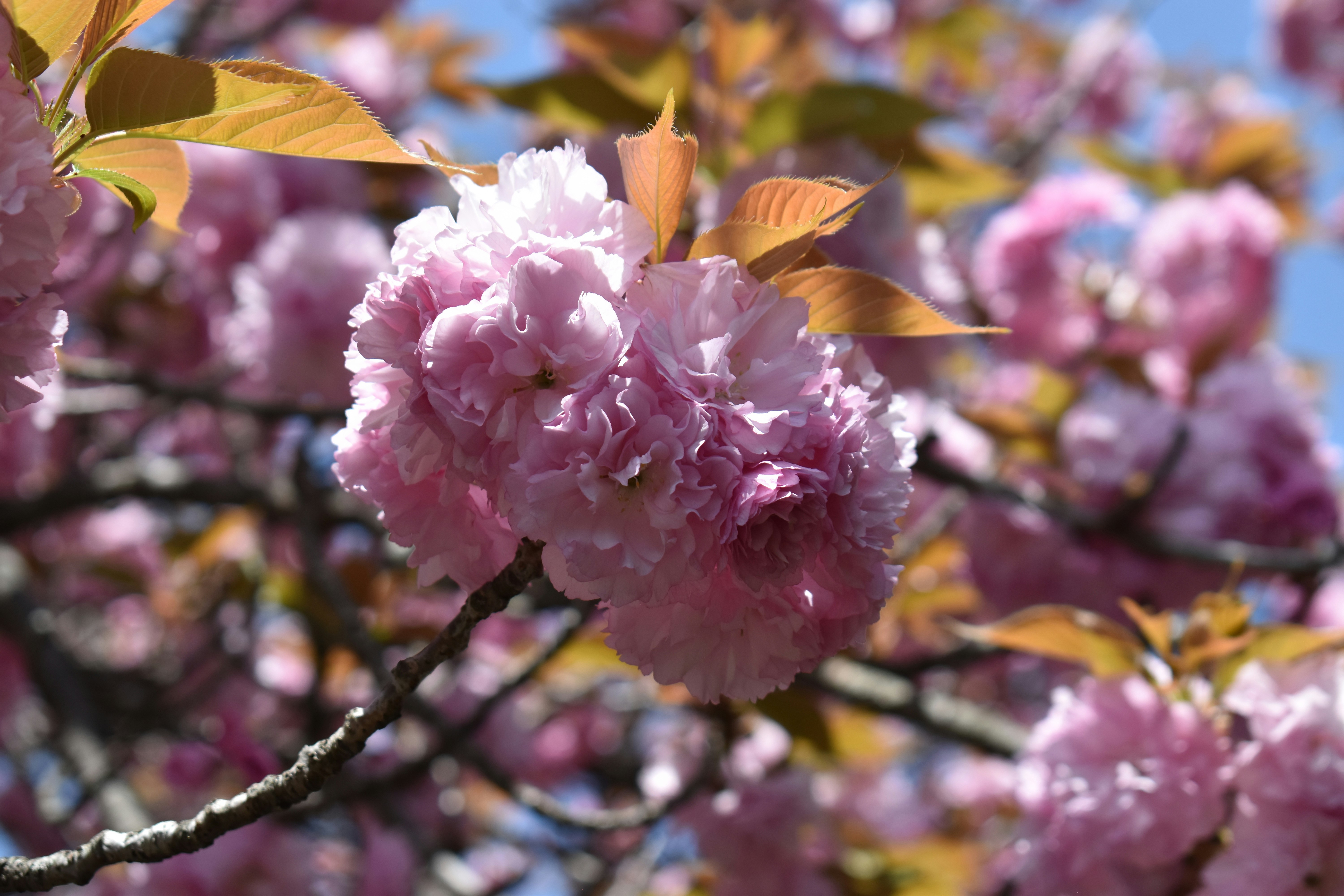 Photo by annnnnnnna8