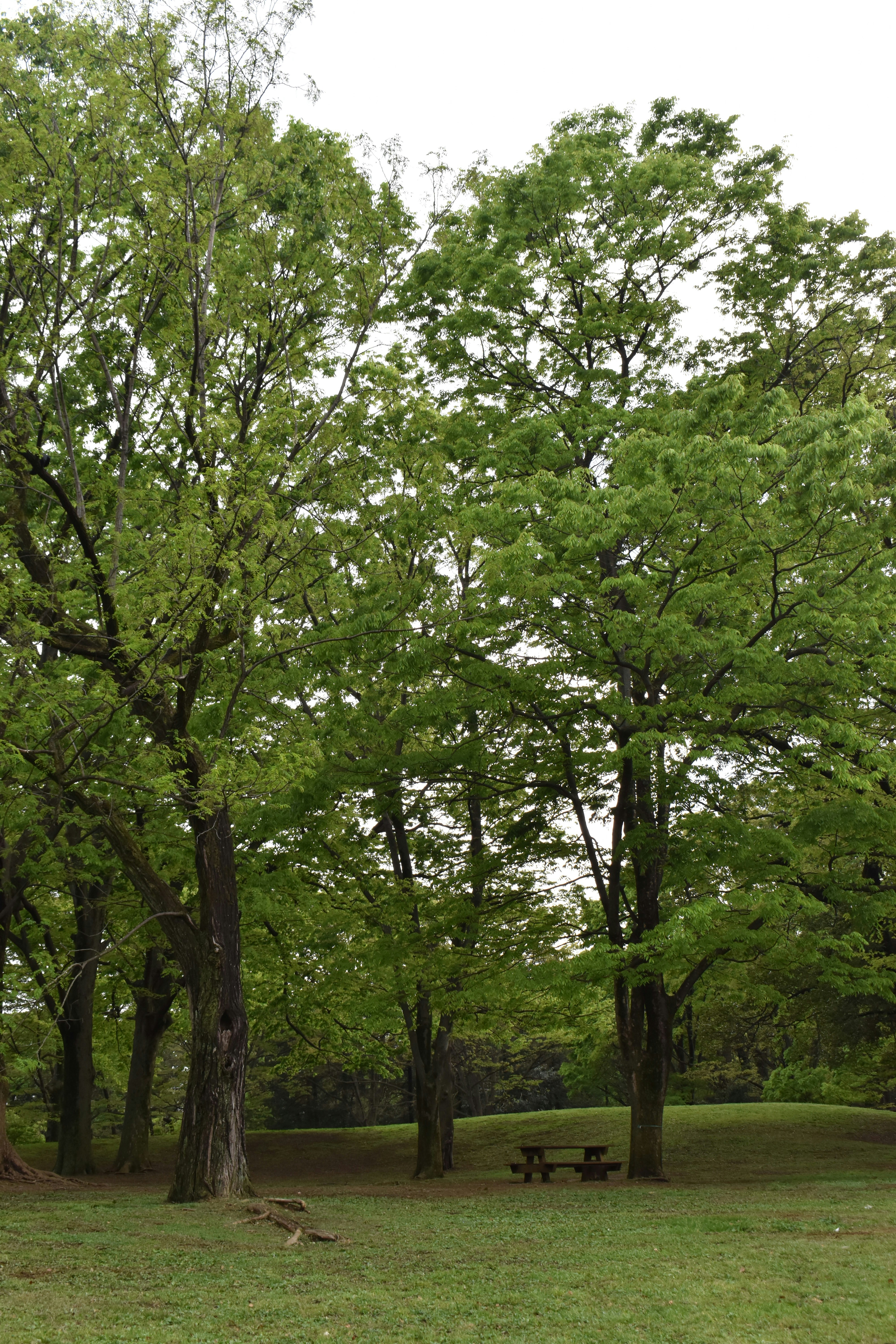 Photo by annnnnnnna8