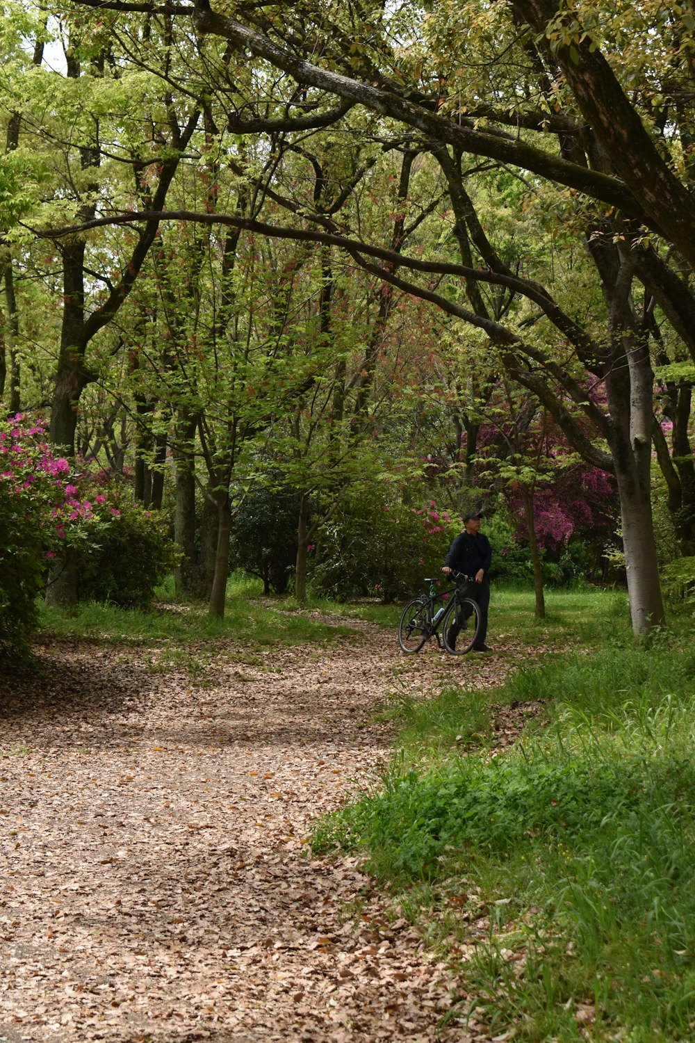 a man riding a bike down a leaf covered road