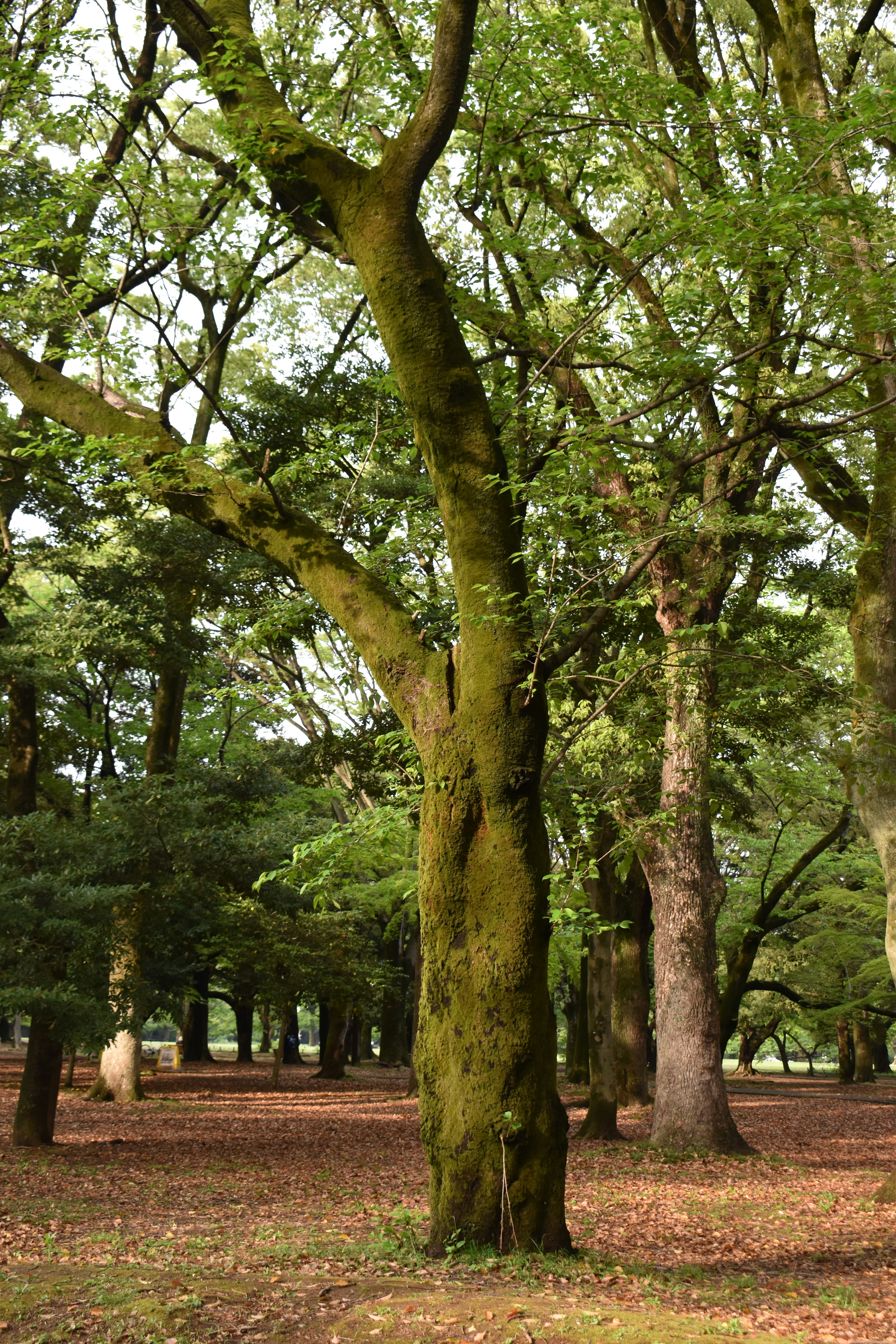 Photo by annnnnnnna8