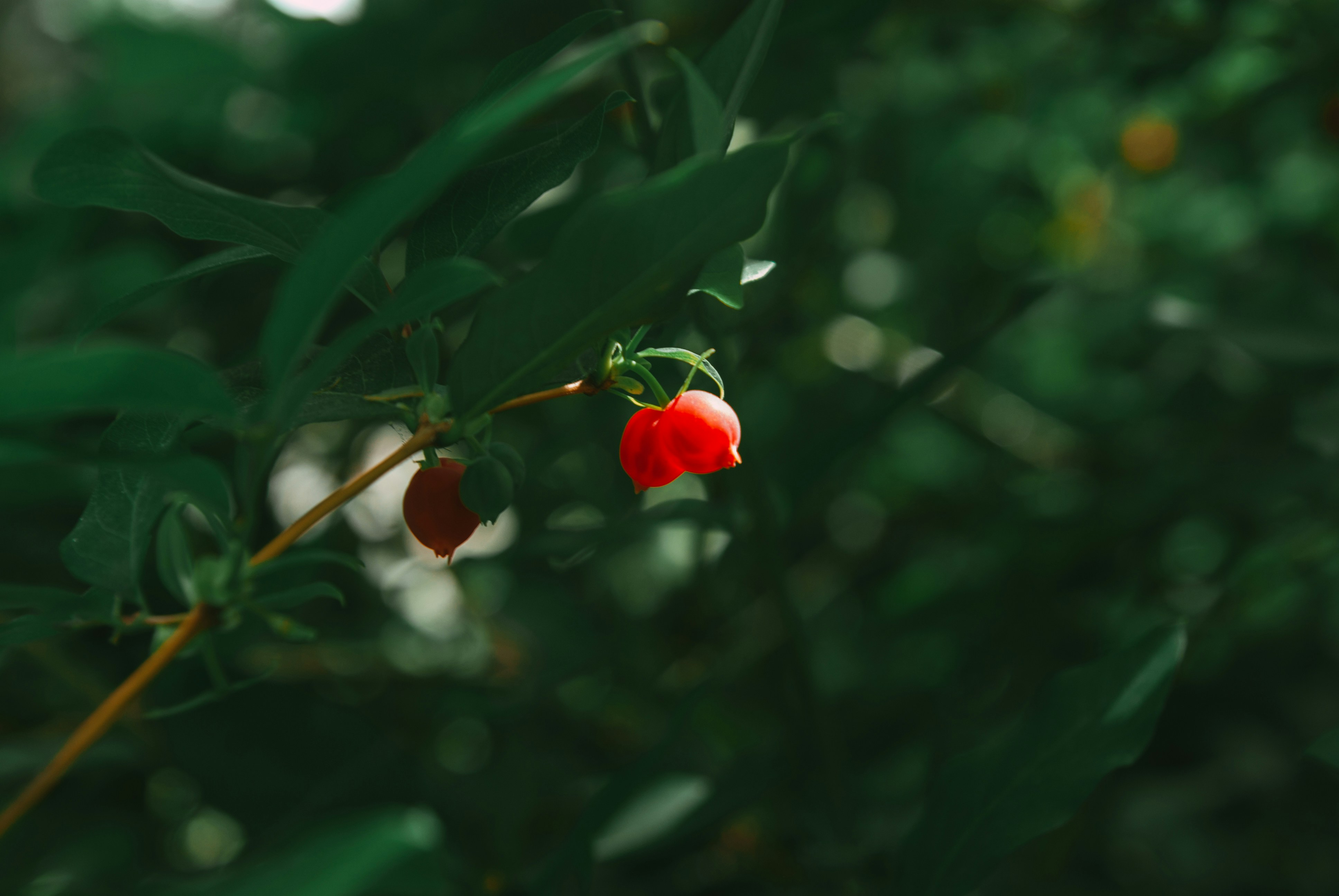 Photo by moonmoons_days