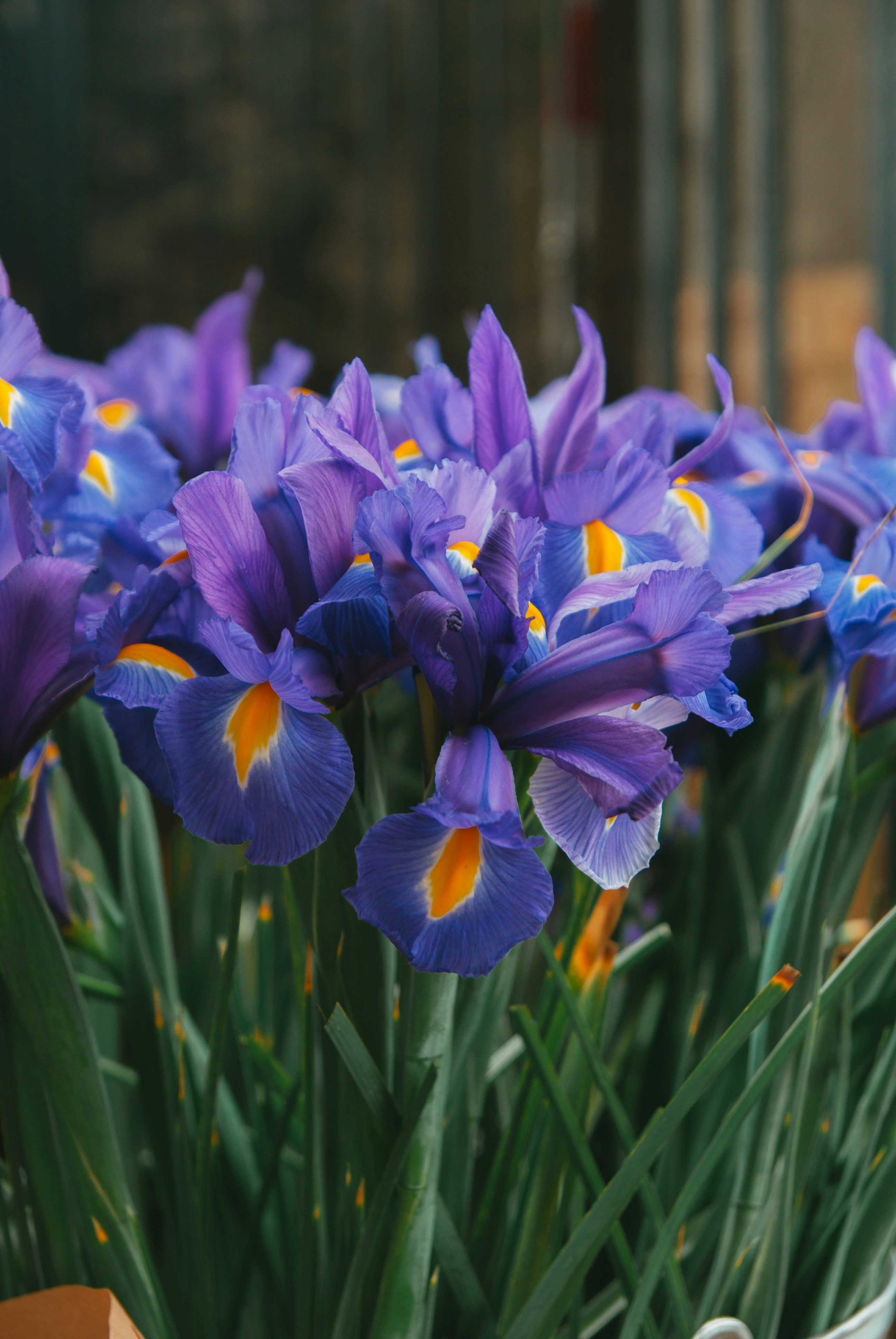 Photo by moonmoons_days