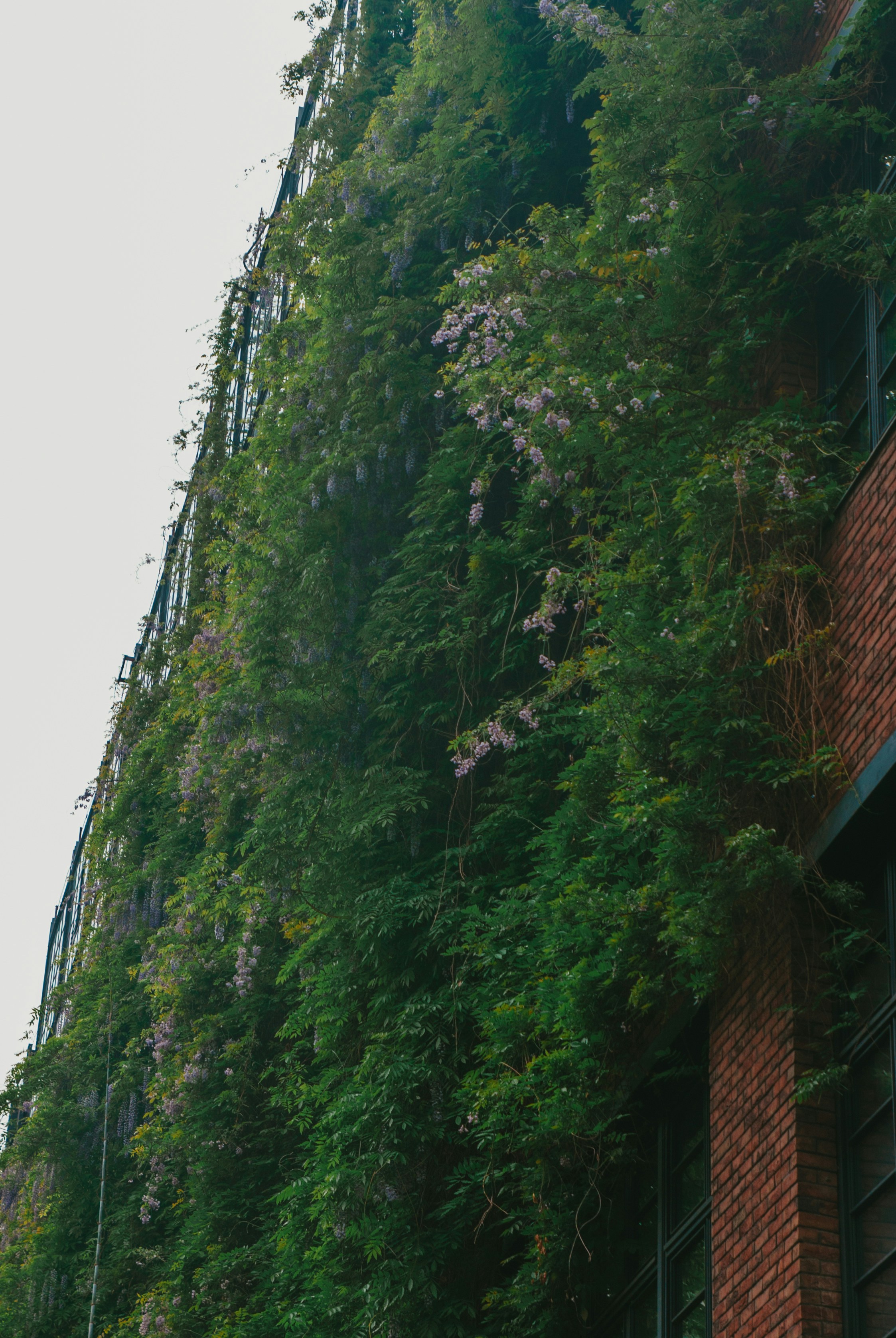 Photo by moonmoons_days