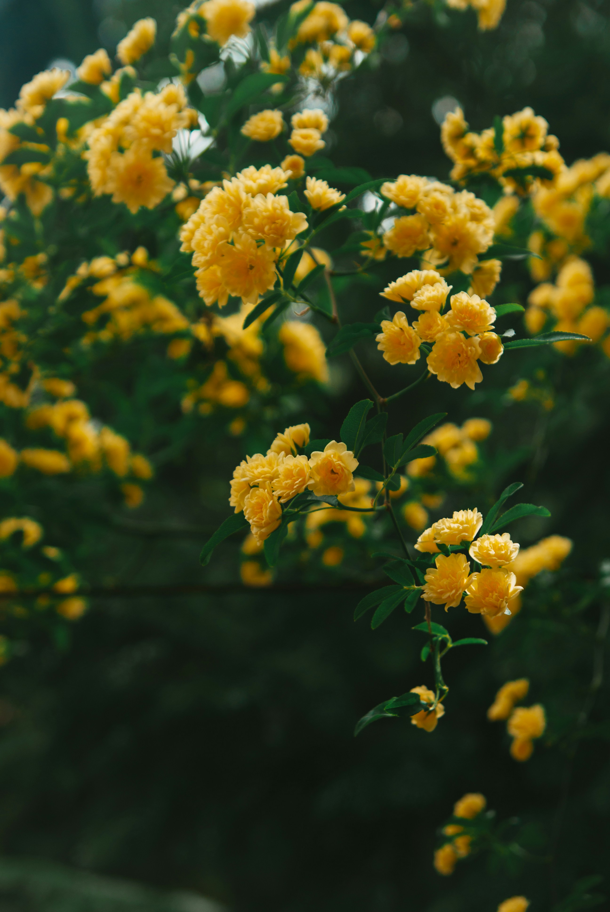 Photo by moonmoons_days