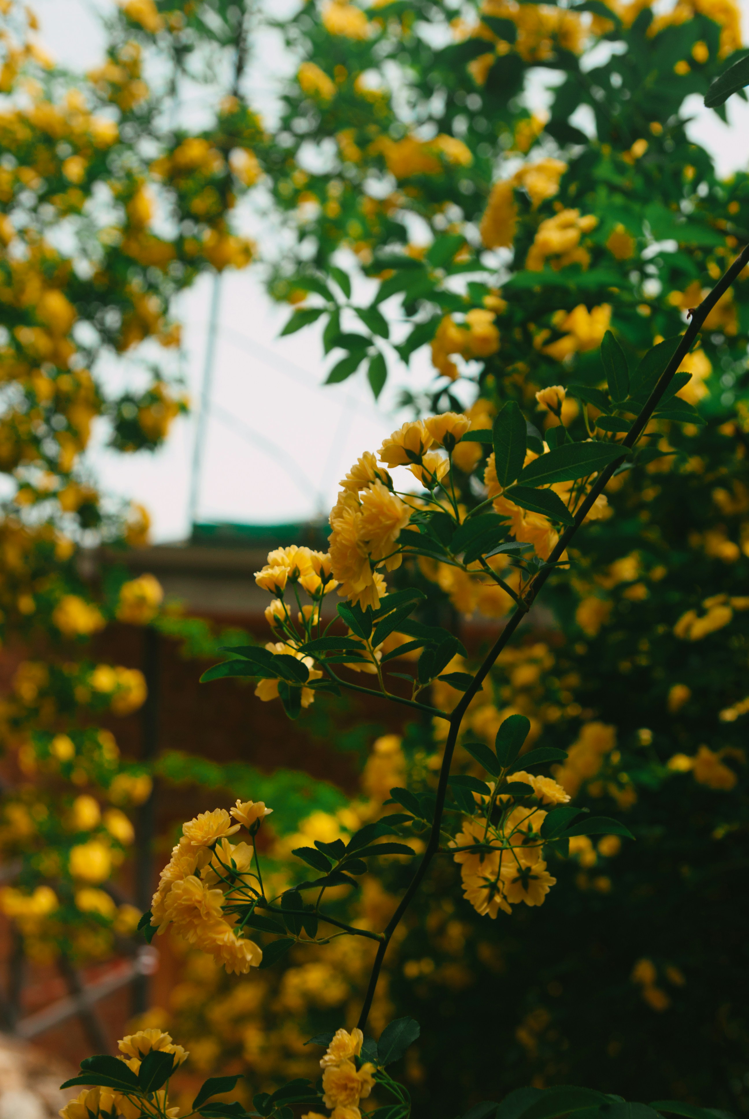 Photo by moonmoons_days