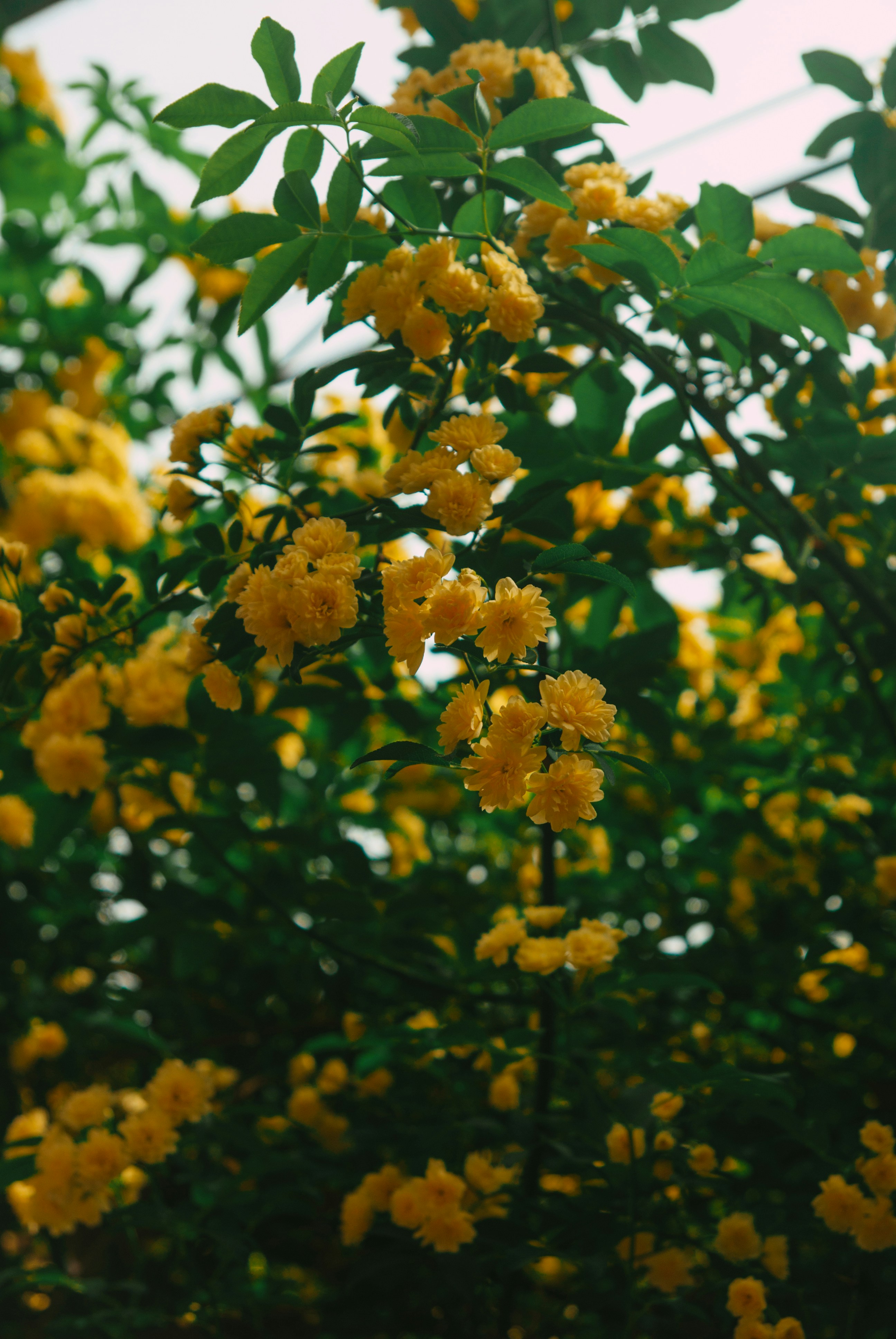 Photo by moonmoons_days