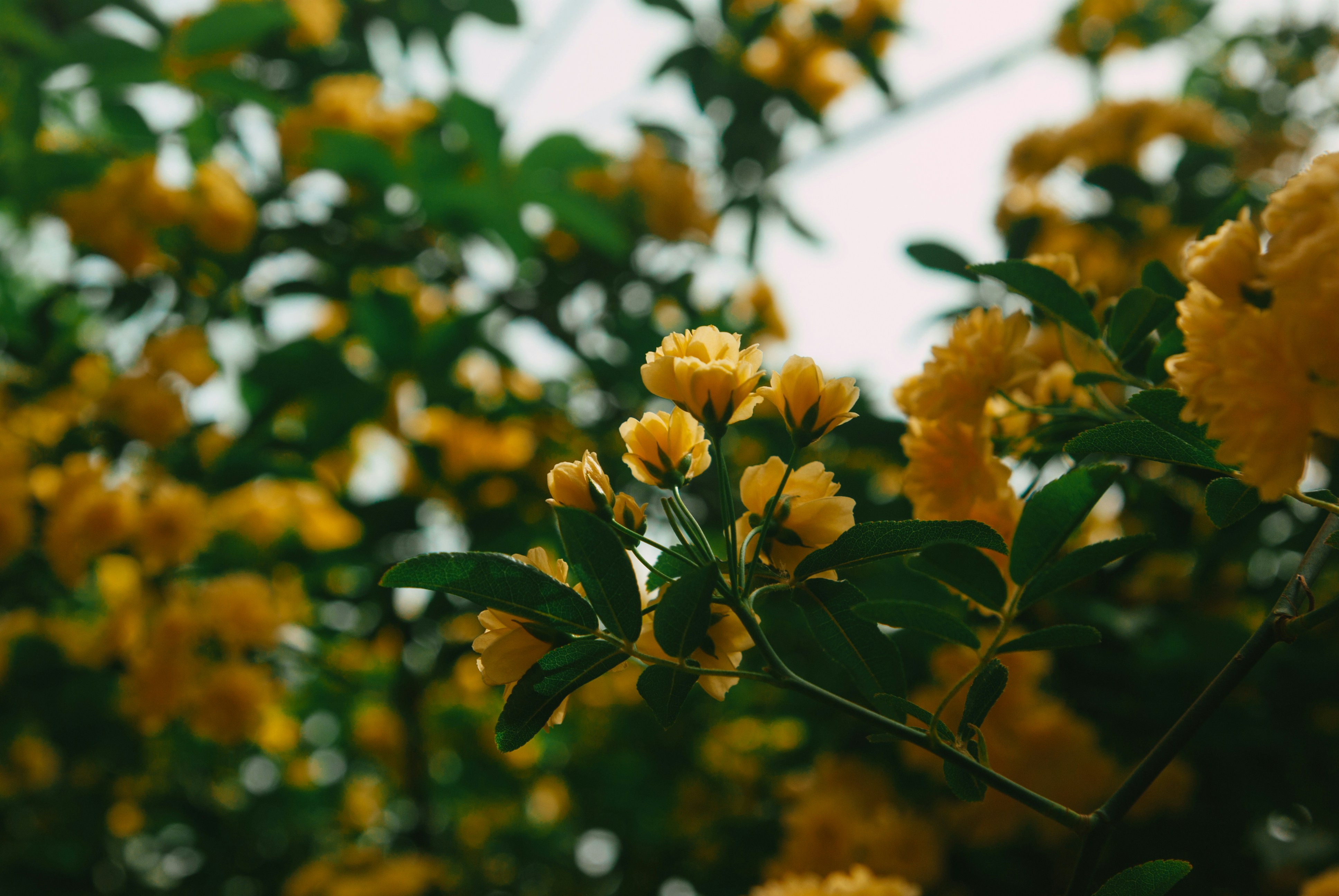 Photo by moonmoons_days