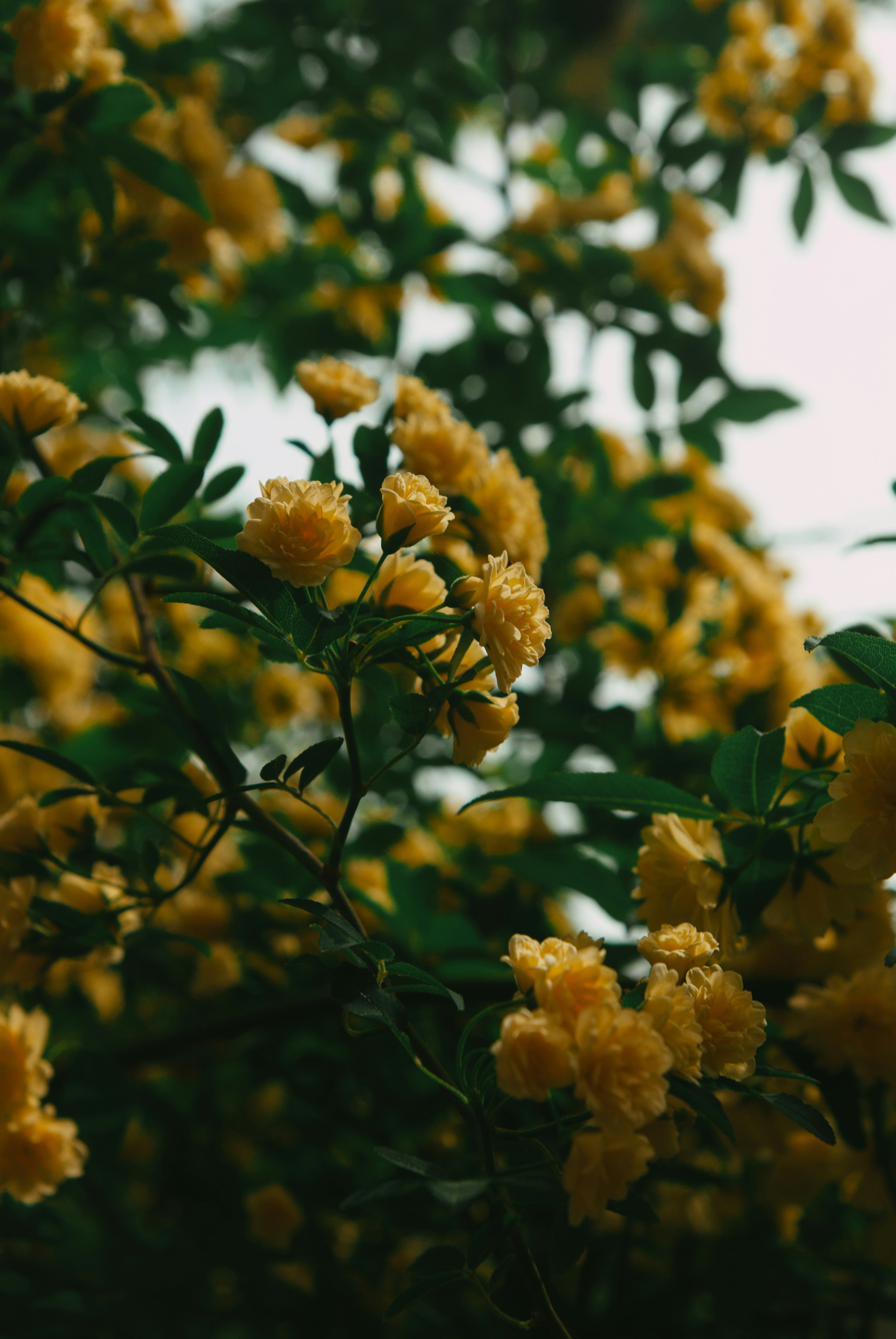 Photo by moonmoons_days