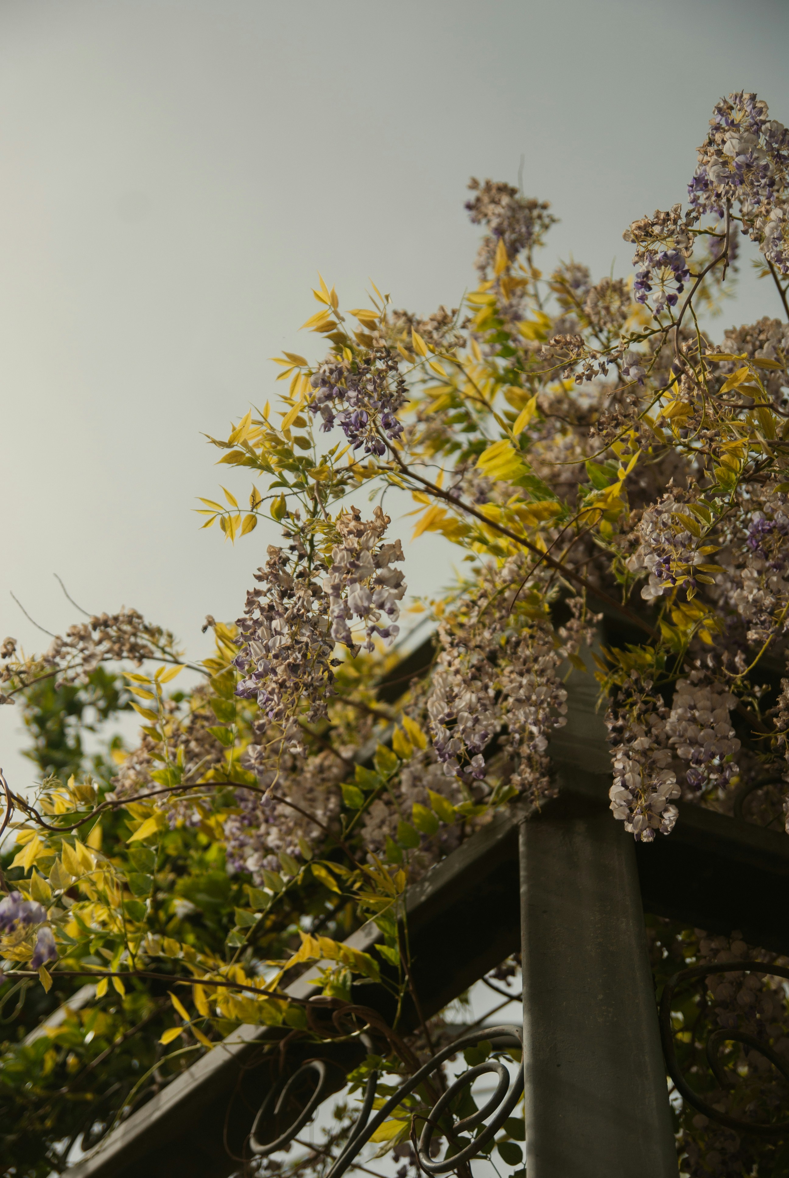 Photo by moonmoons_days