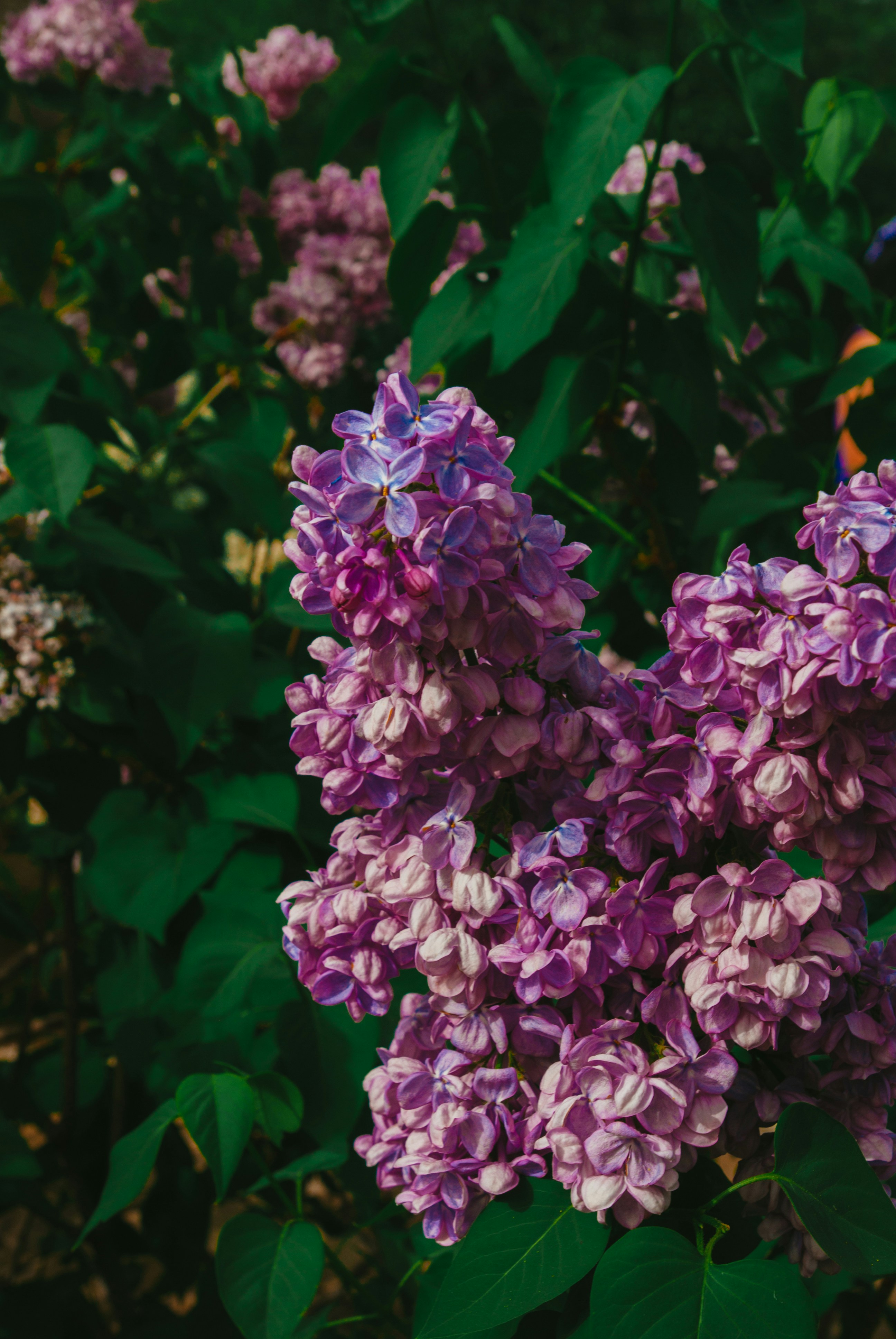 Photo by moonmoons_days