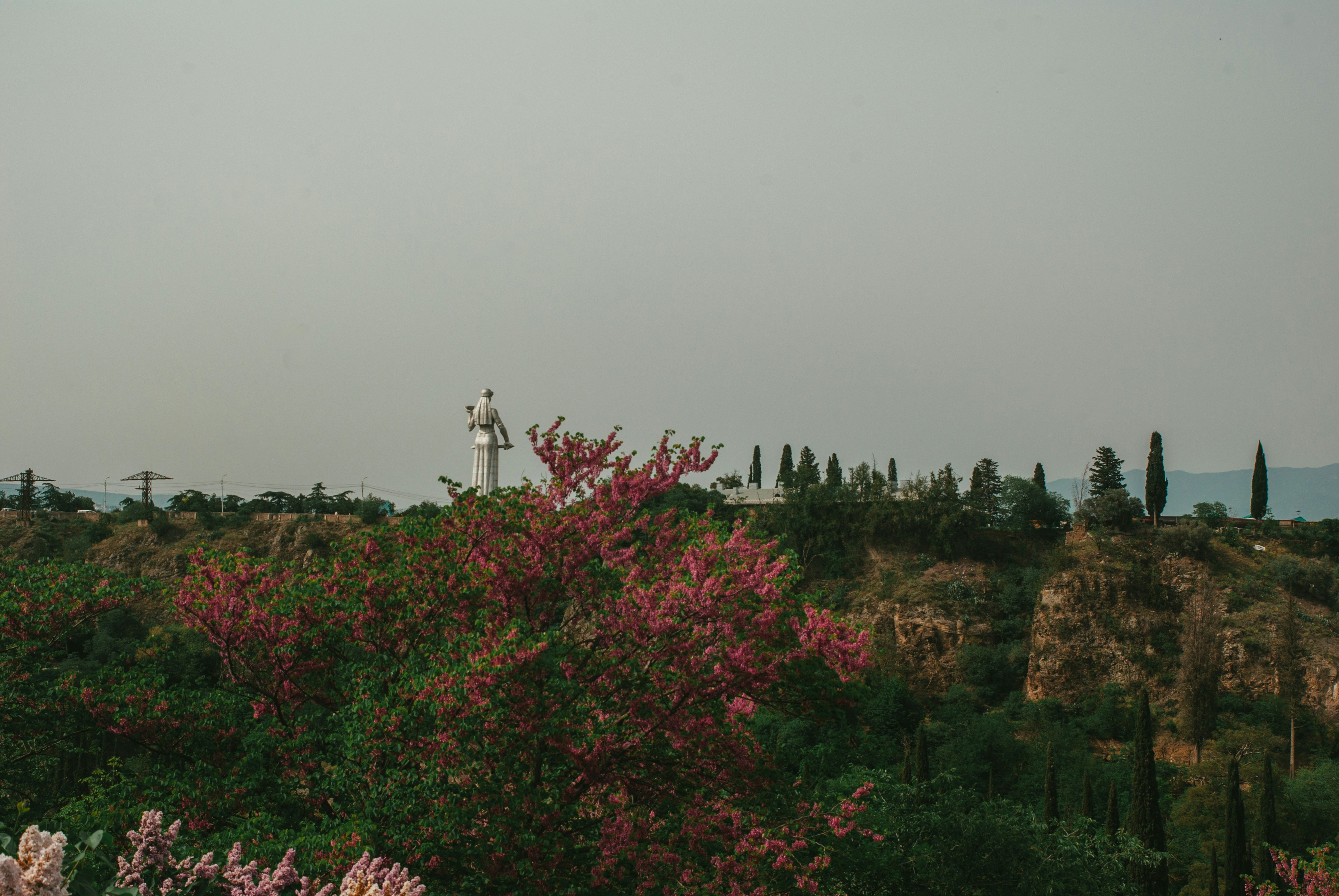 Photo by moonmoons_days