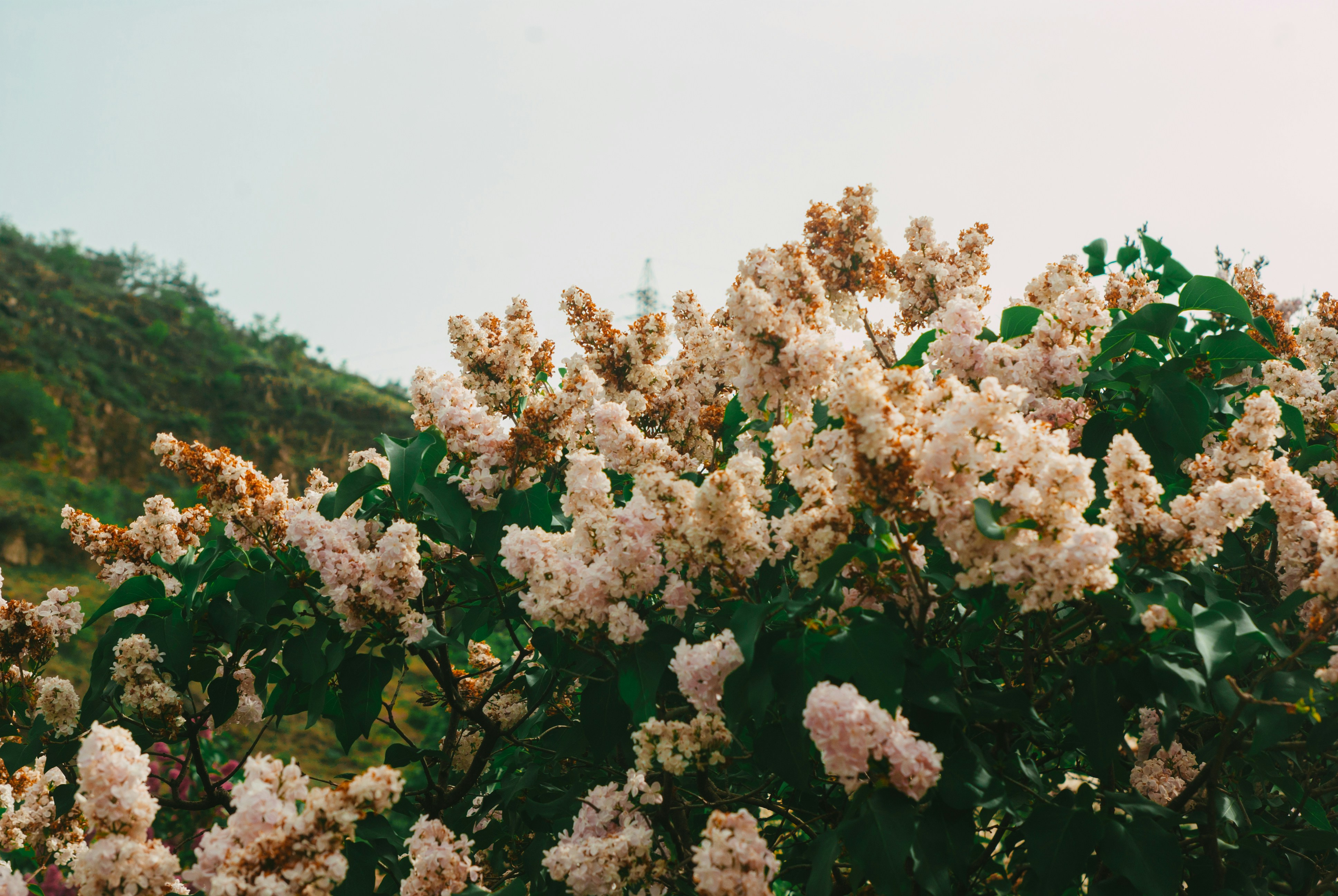 Photo by moonmoons_days