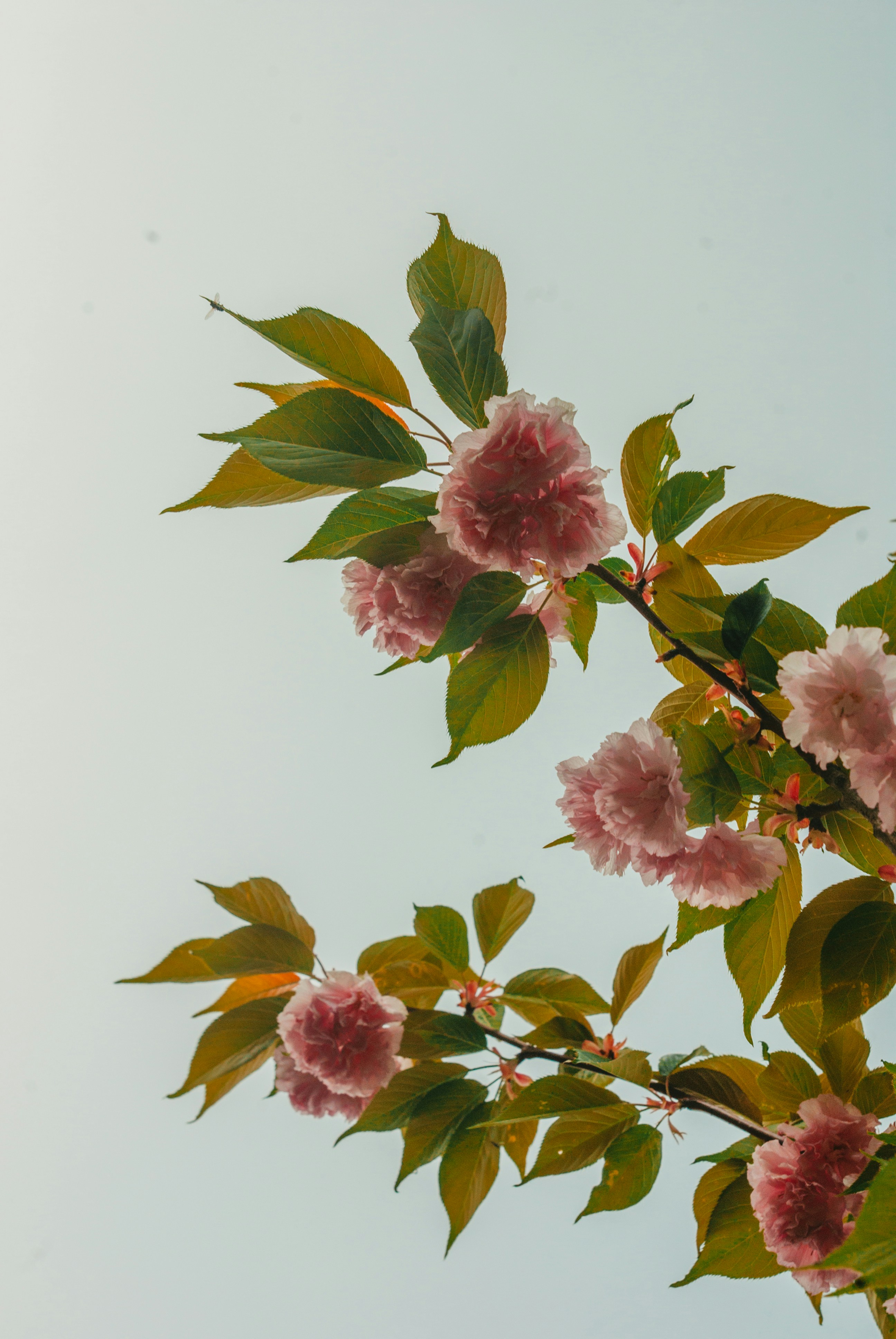 Photo by moonmoons_days