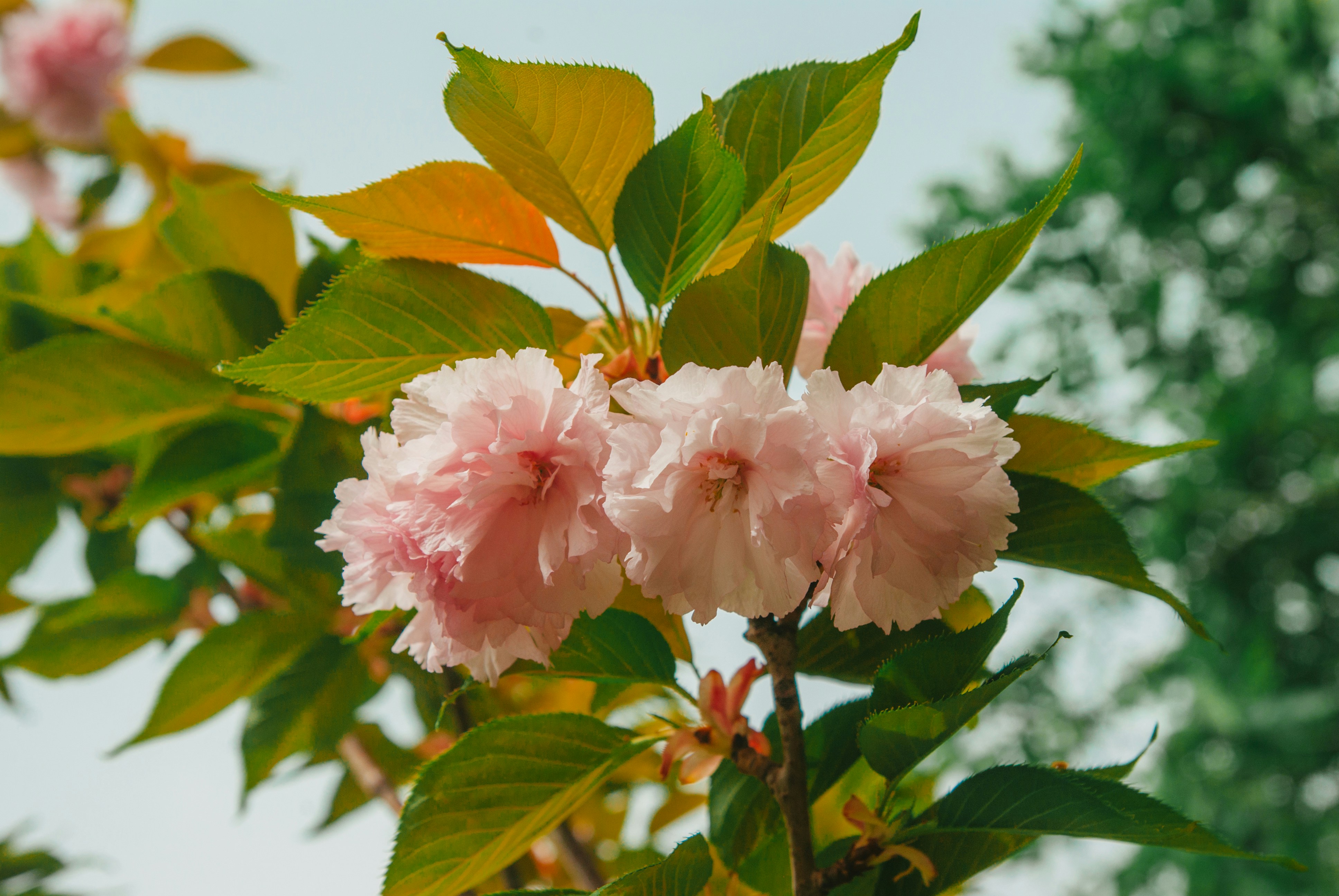 Photo by moonmoons_days