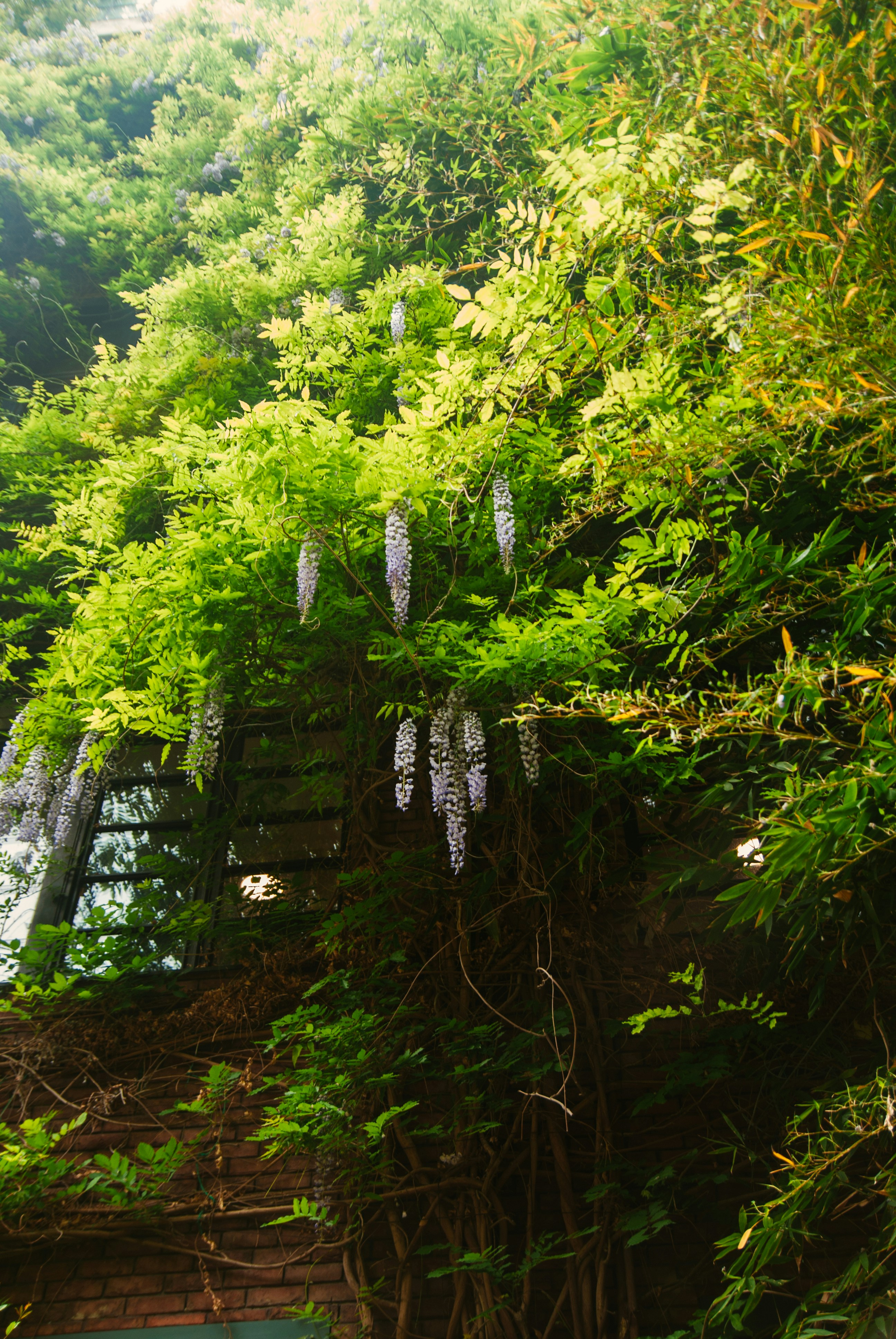 Photo by moonmoons_days