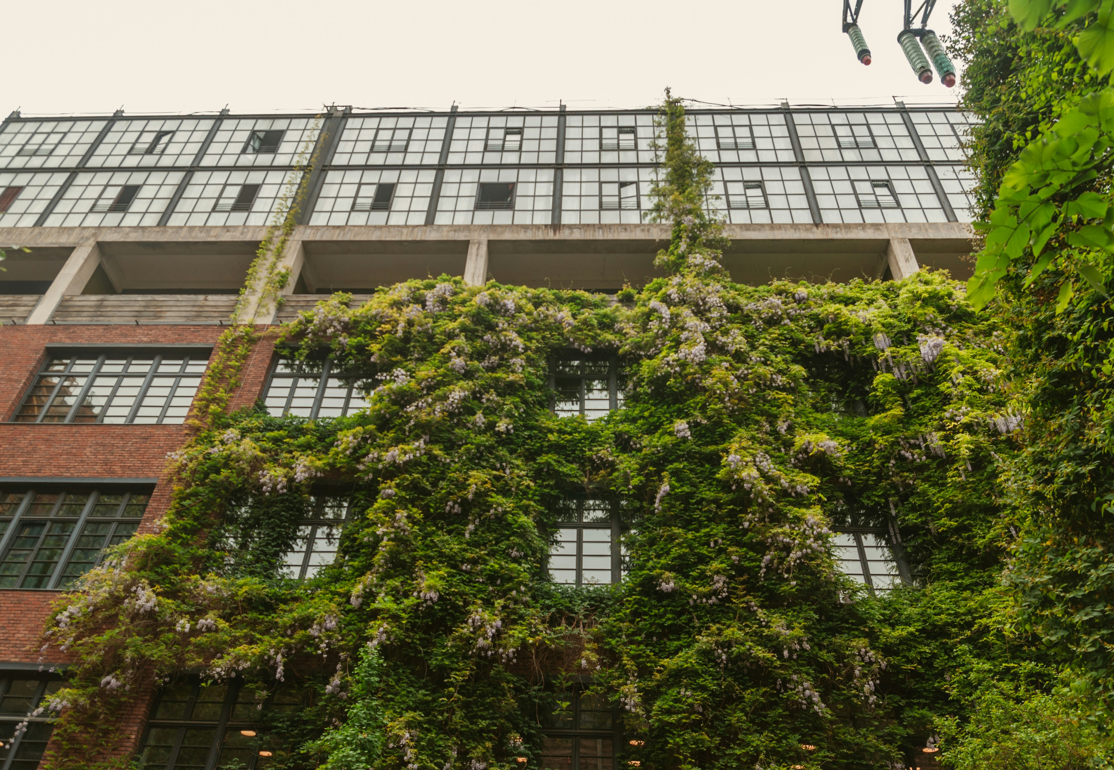 Photo by moonmoons_days