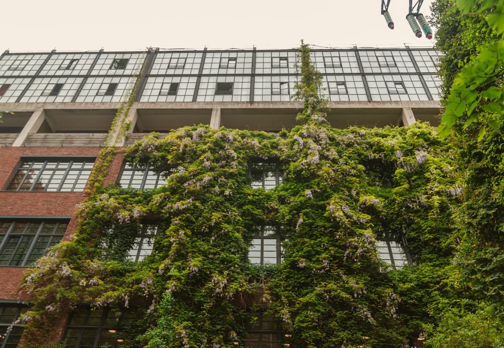 a tall building covered in vines and vines