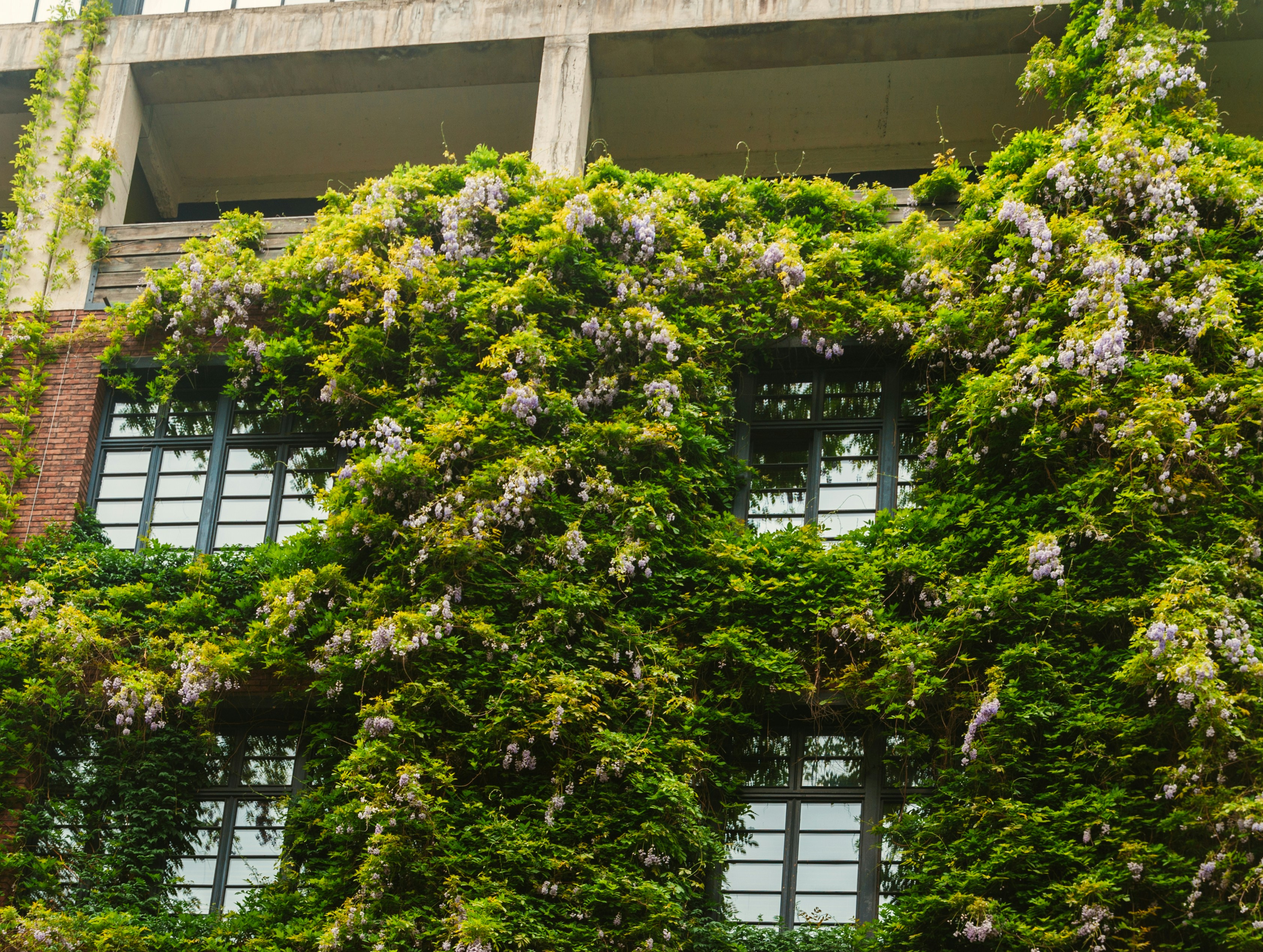 Photo by moonmoons_days