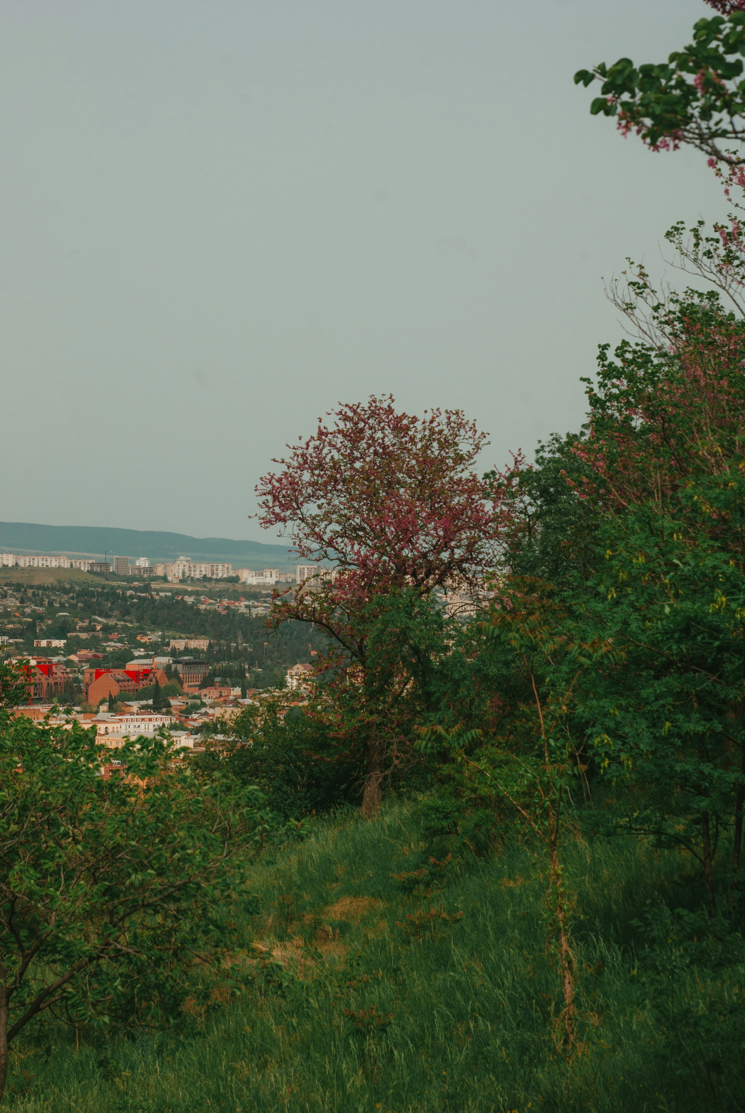 Photo by moonmoons_days