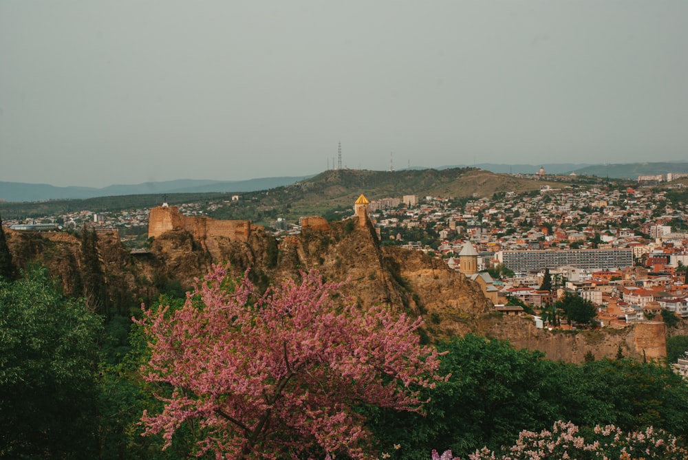 a view of a city from a hill