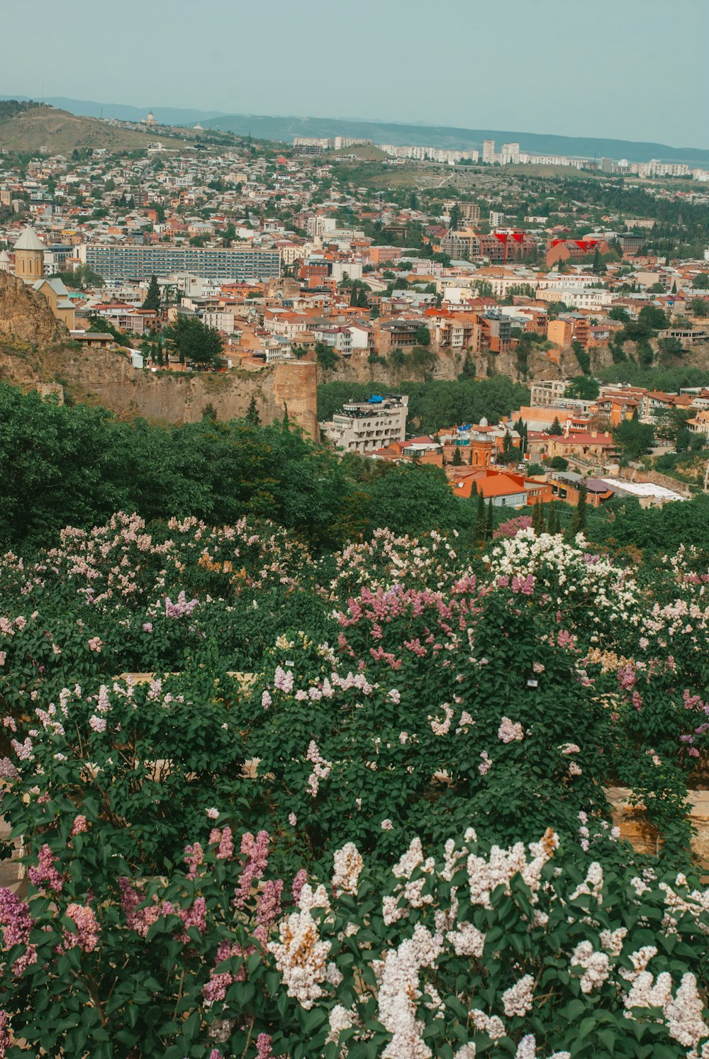 a view of a city from a hill covered in flowers