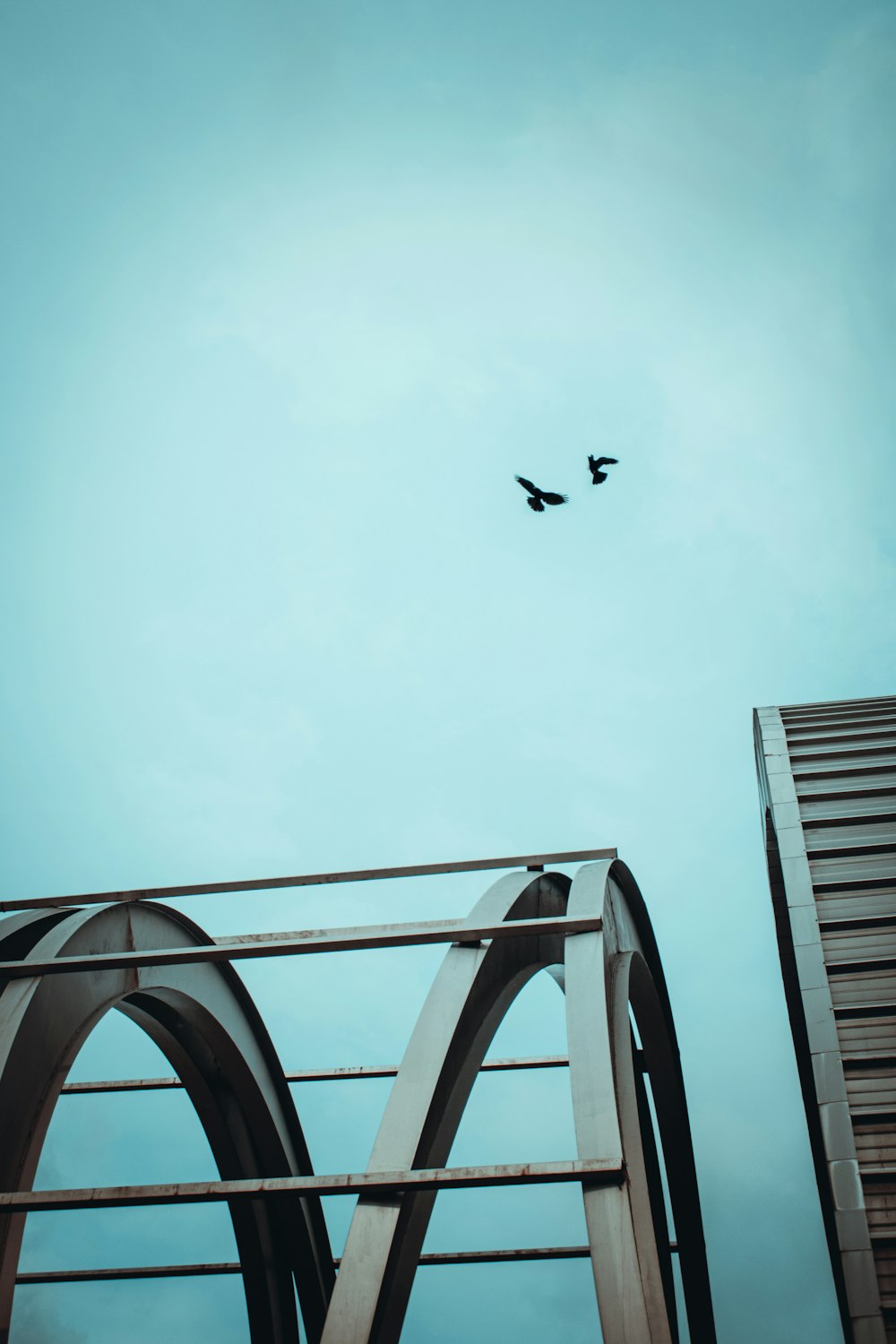 a couple of birds flying over a bridge