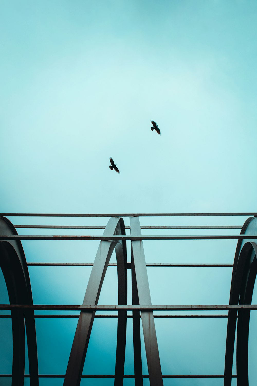 two birds are flying over a metal bridge