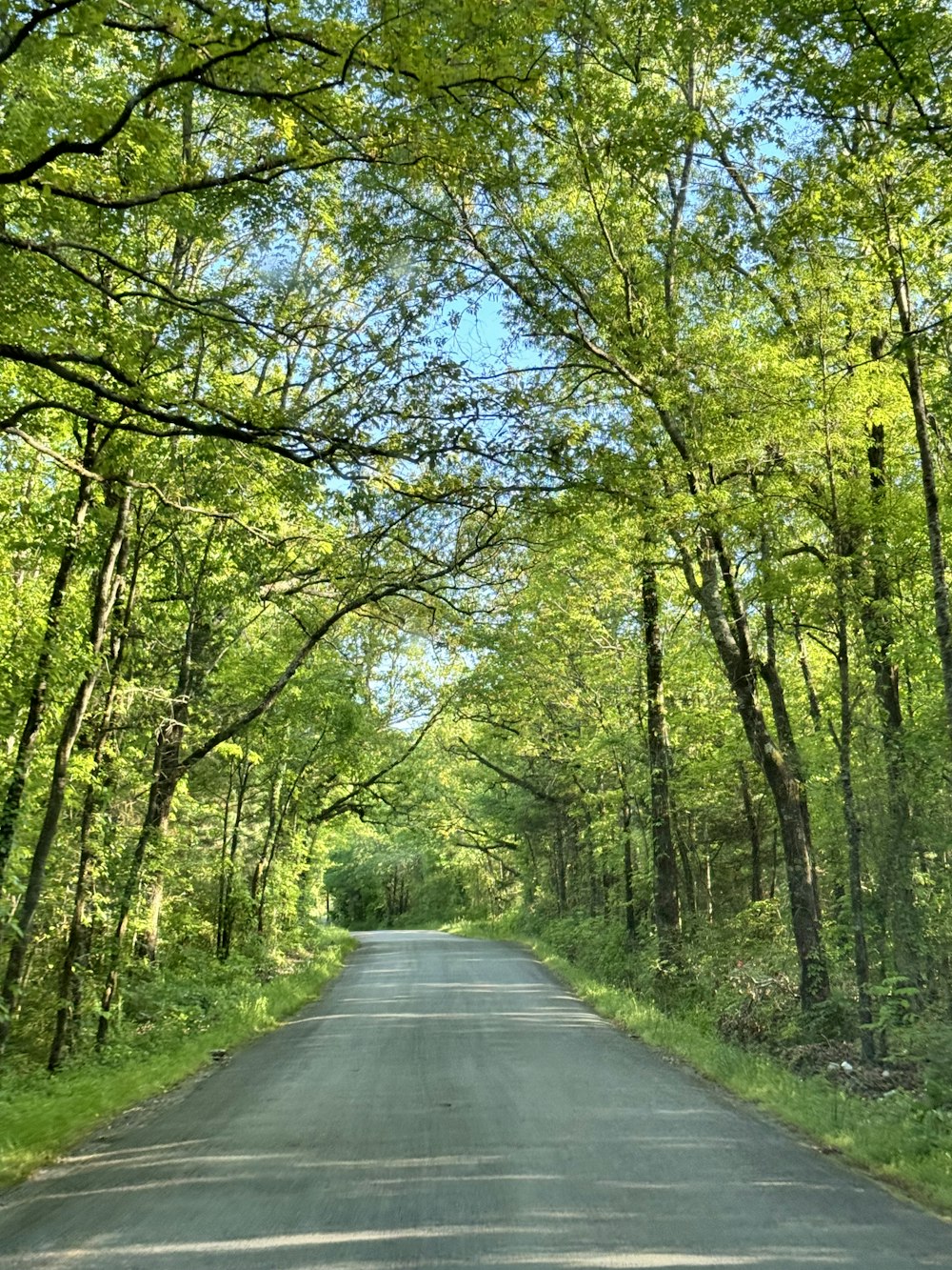 an empty road surrounded by trees and grass