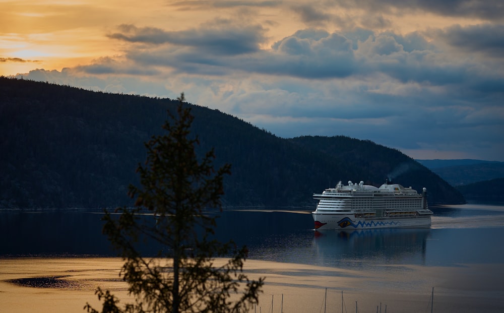 a cruise ship in a body of water