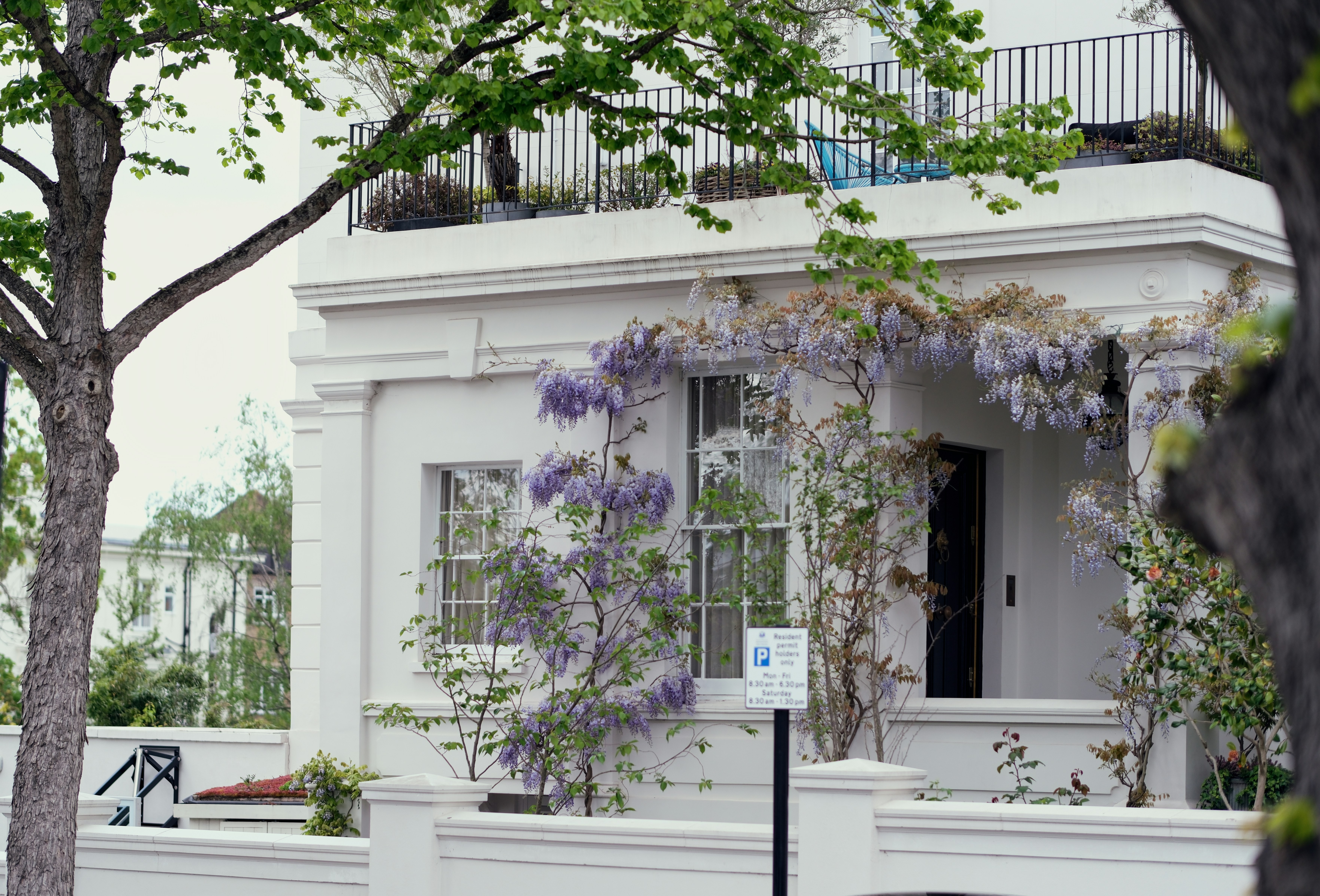 Photo by romanakash27