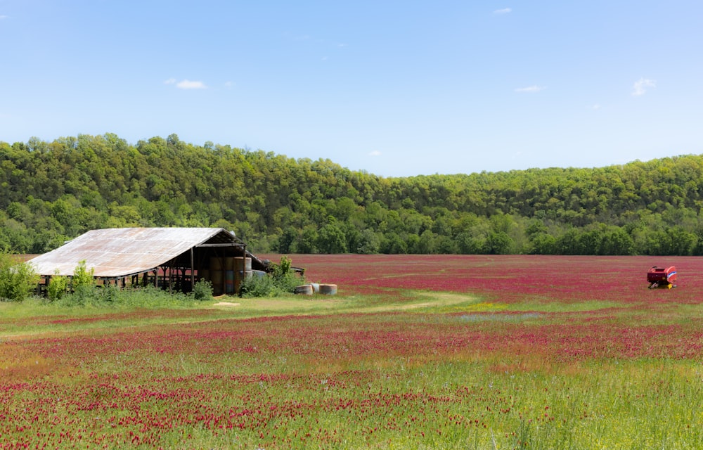 a large field with a barn and a tractor in it