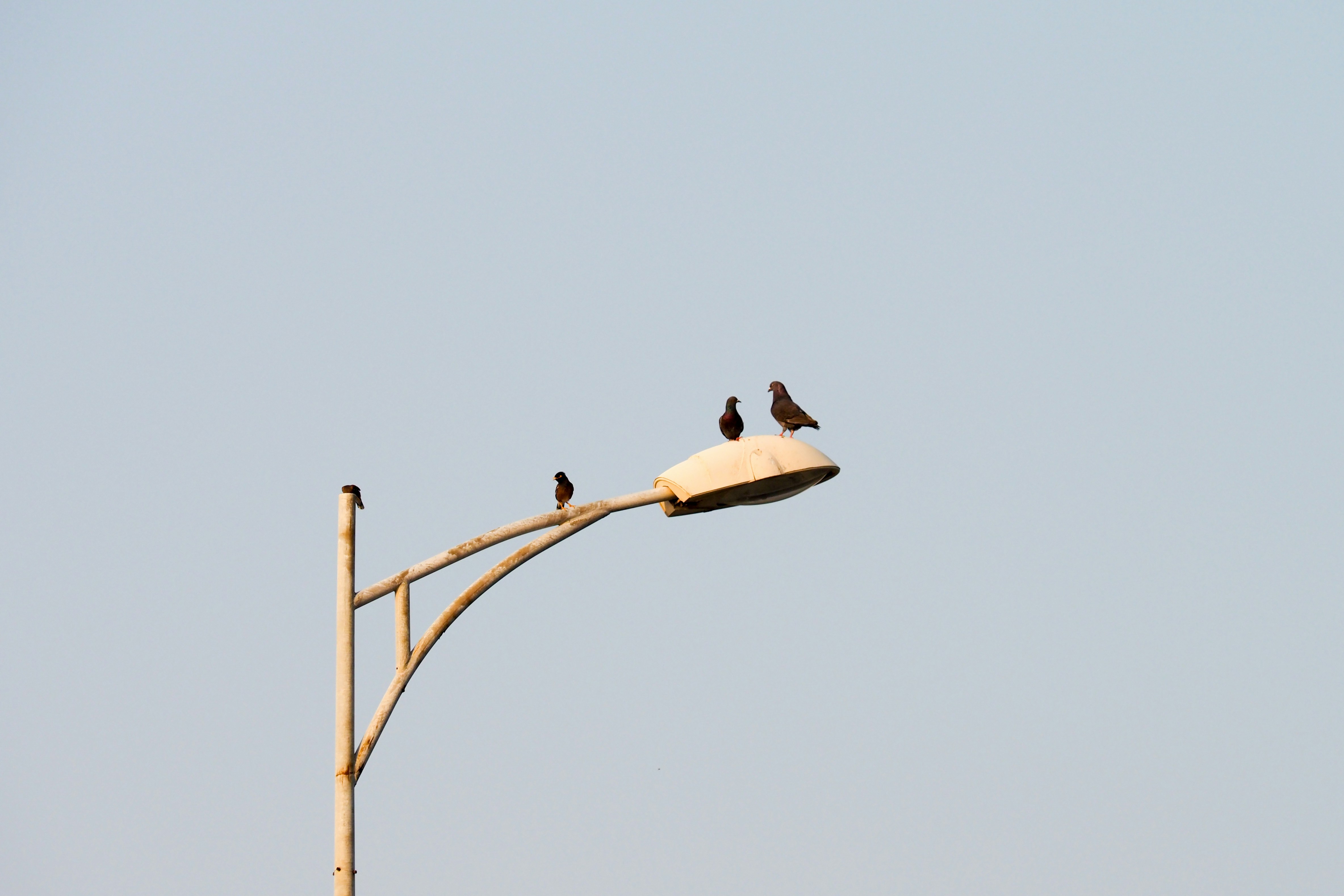 Photo by dananghoianphotographer