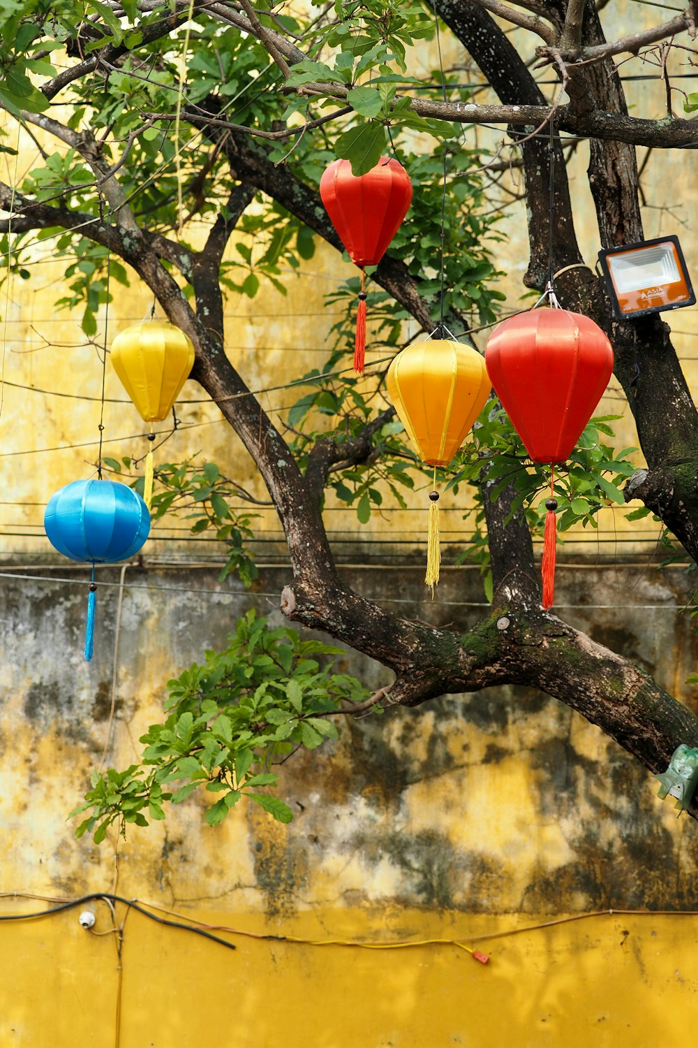 a tree with a bunch of colorful paper lanterns hanging from it's branches