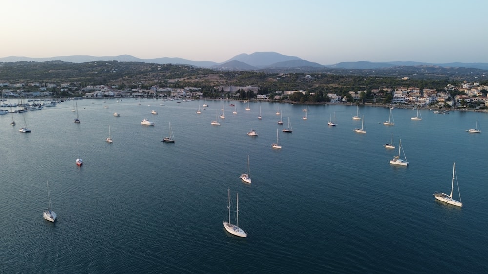 a large body of water filled with lots of boats