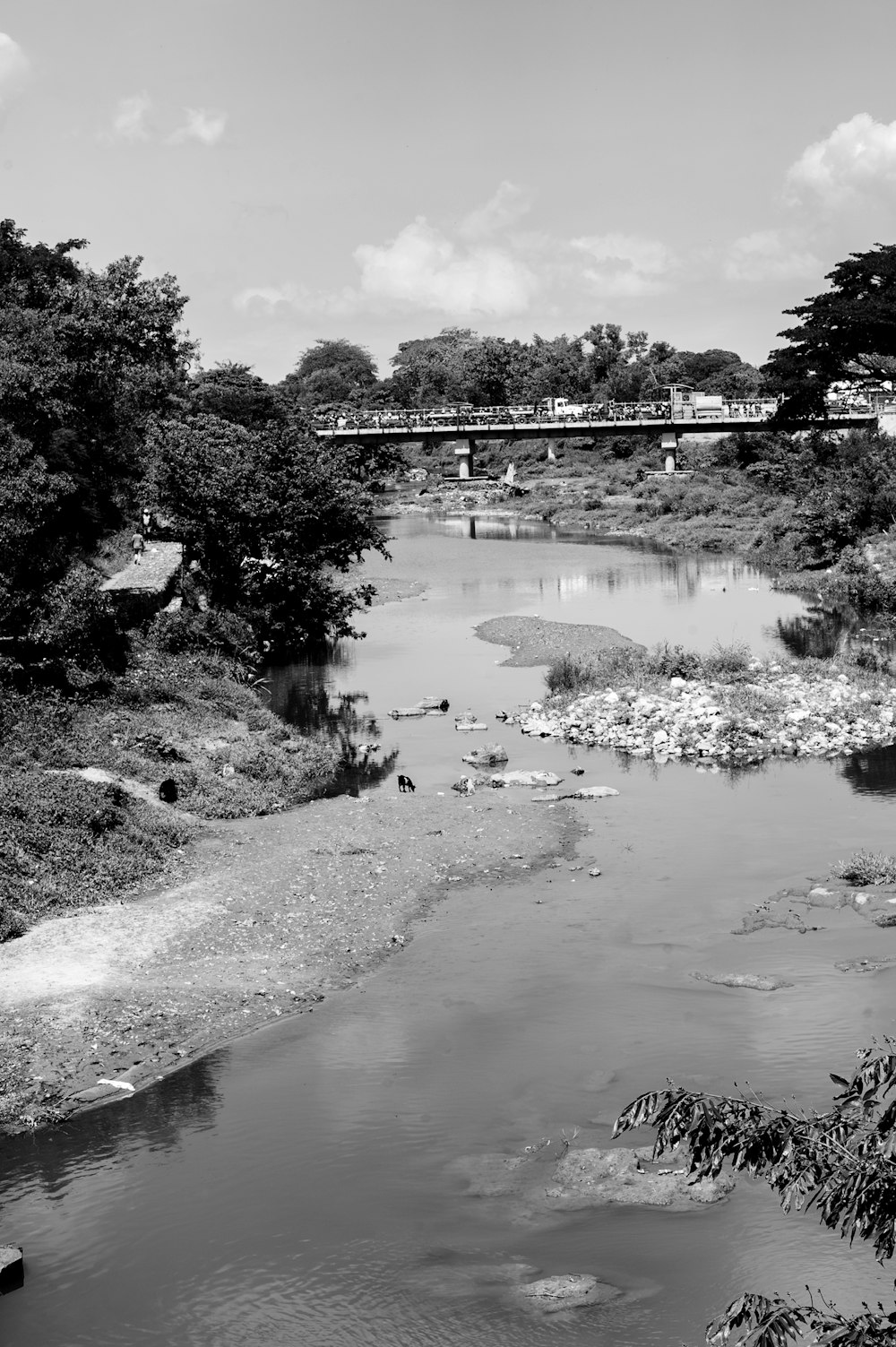 a black and white photo of a river and bridge