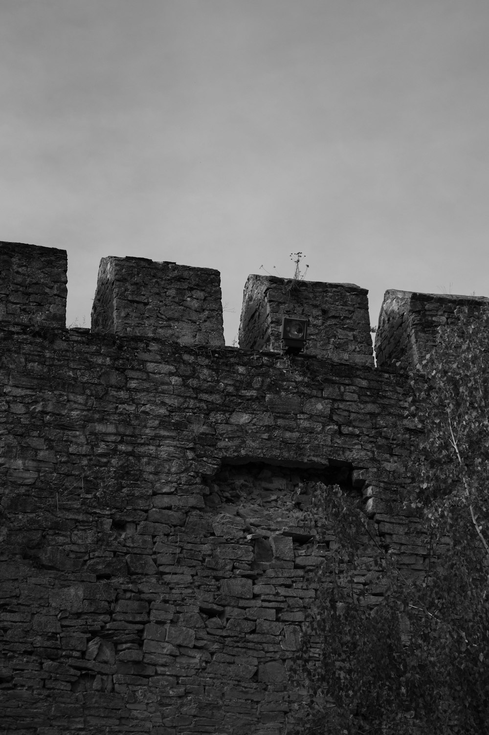 a black and white photo of a castle wall