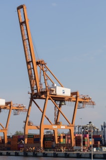 a crane that is sitting in the water