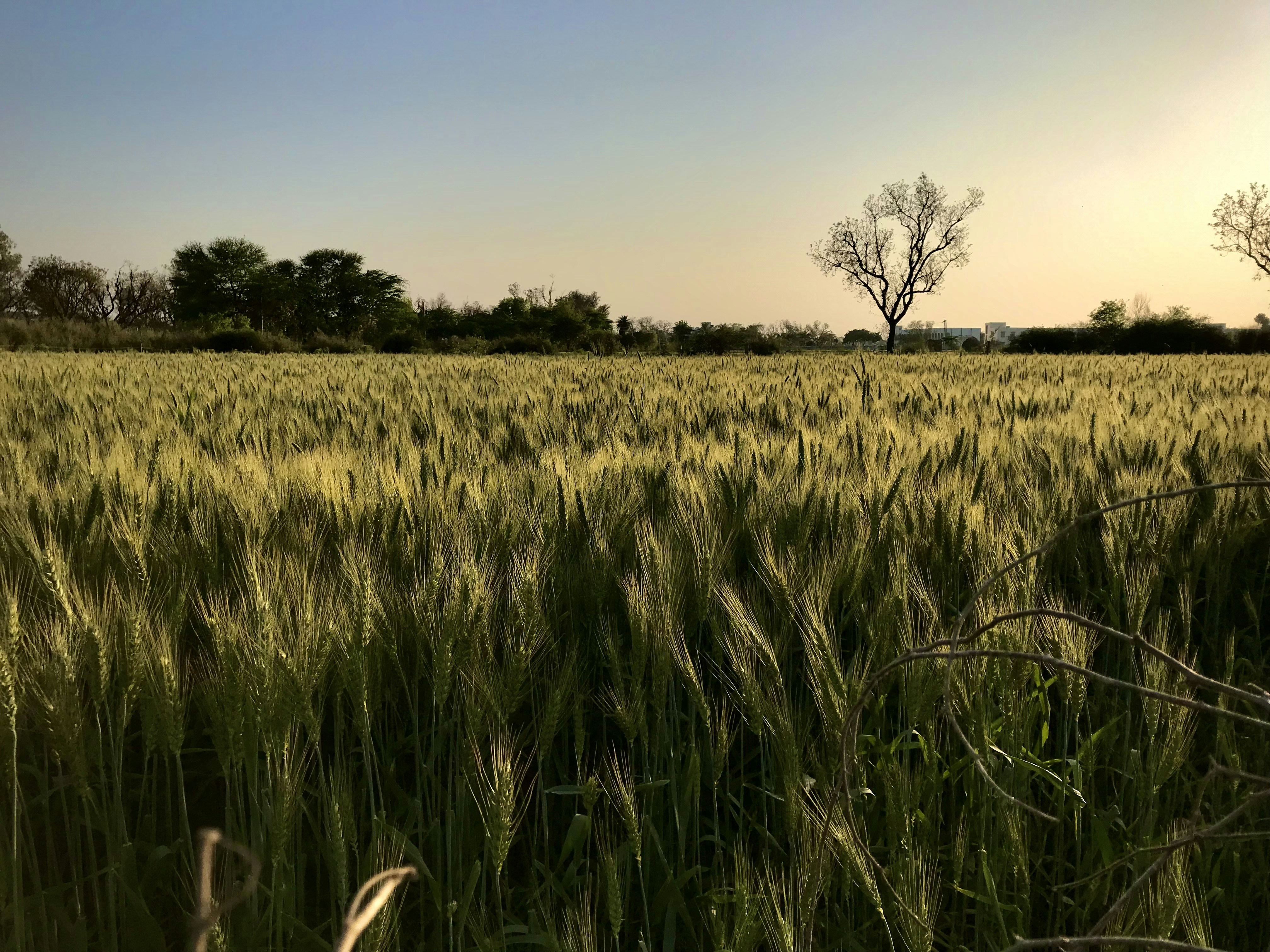 Photo by manu_manav_j