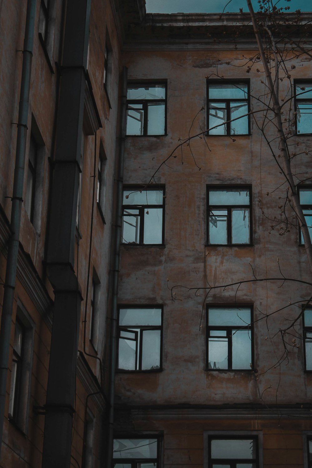 a tall building with lots of windows next to a tree