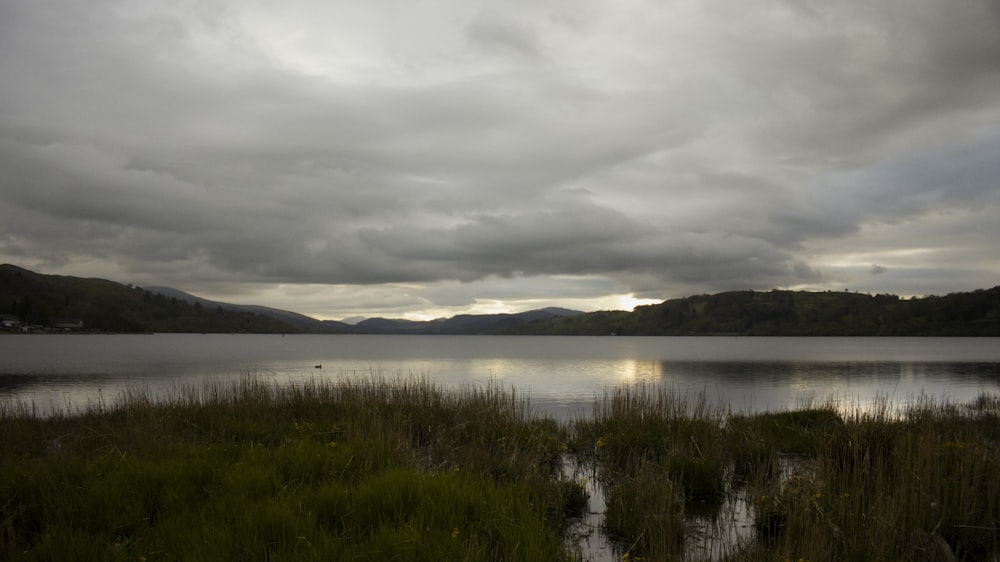 a large body of water surrounded by lush green grass